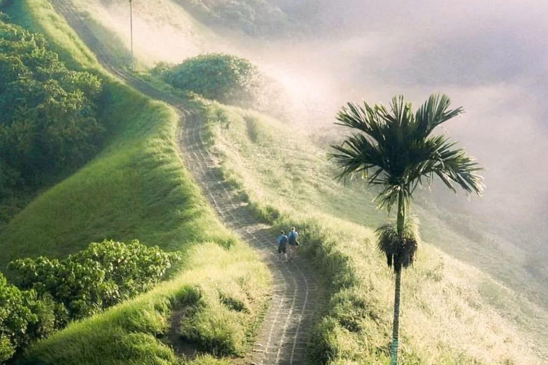 A couple taking a walk on the Campuhan Ridge Walk