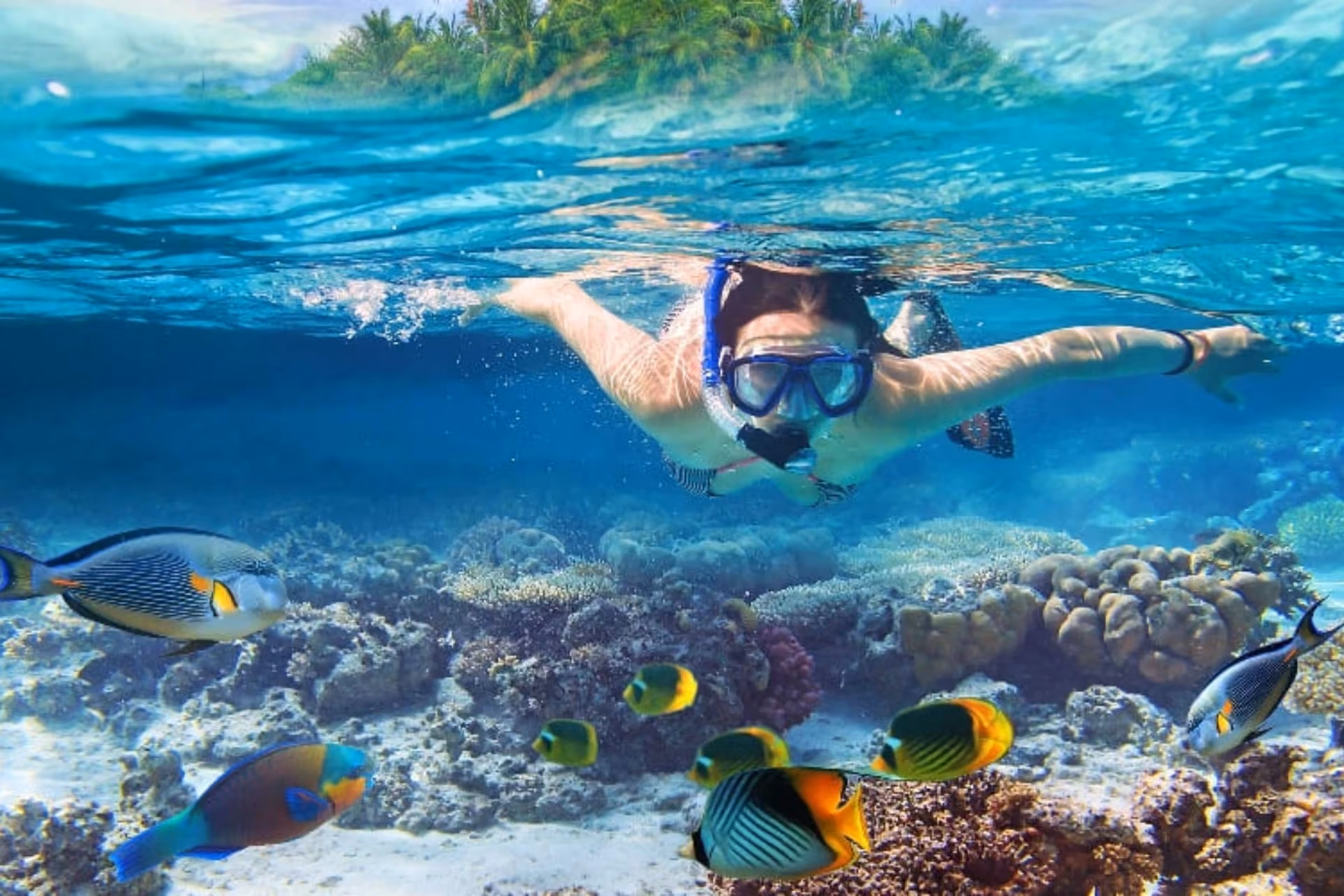 Snorkeling in Gamat Bay