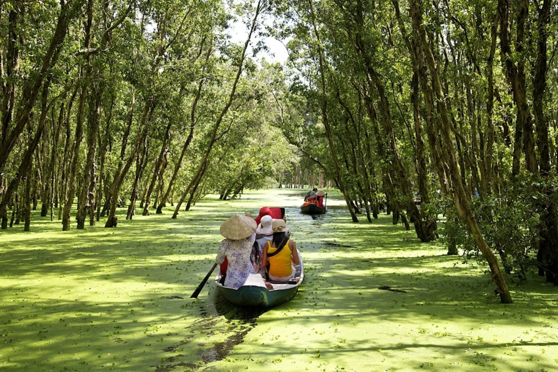 Mekong Delta: An Honest & Complete Travel Guide [2025]