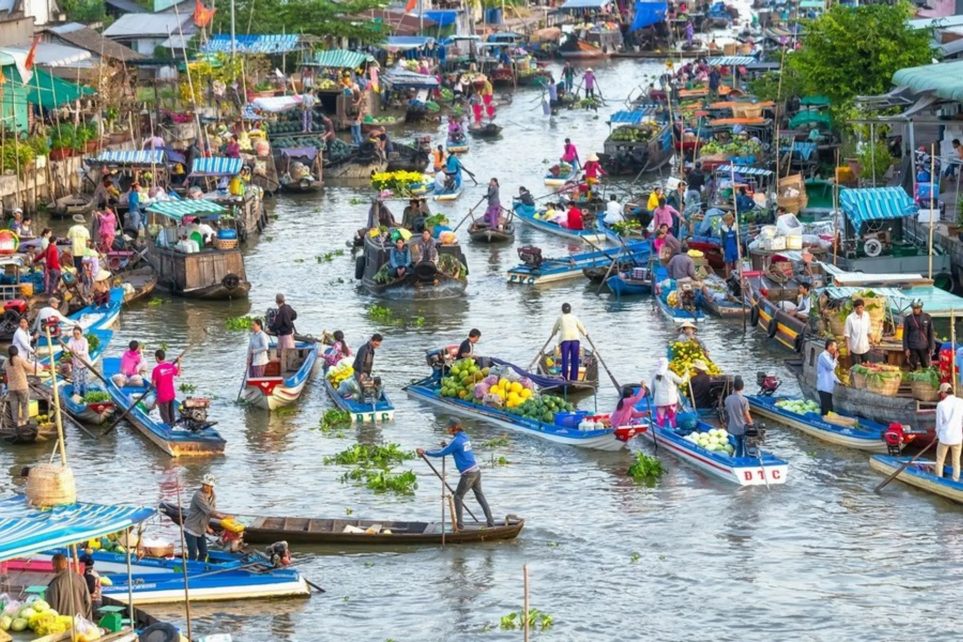Boats in floating market of the Mekong Delta