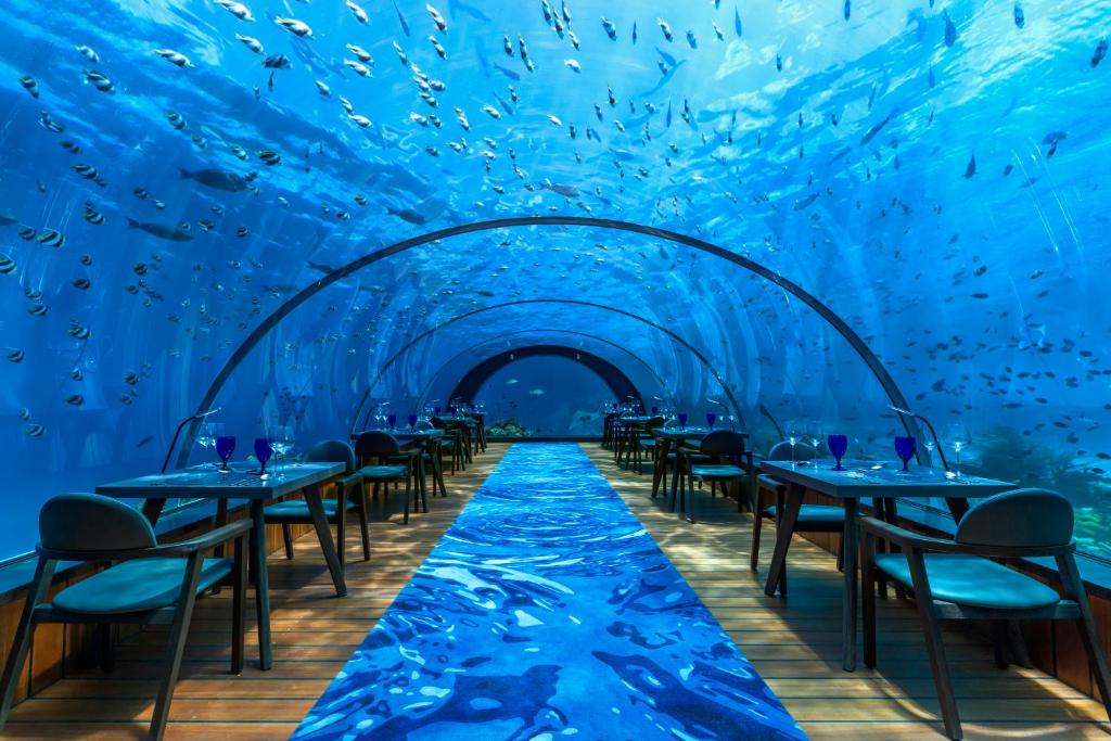 The famous Undersea Restaurant in Hurawalhi Island Resort