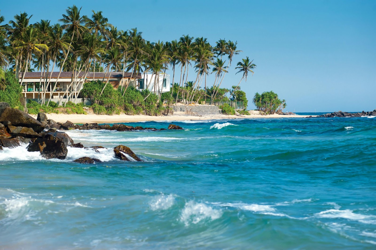 A tropical beach with waves gently, lined with tall palm trees and a modern beachfront villa.