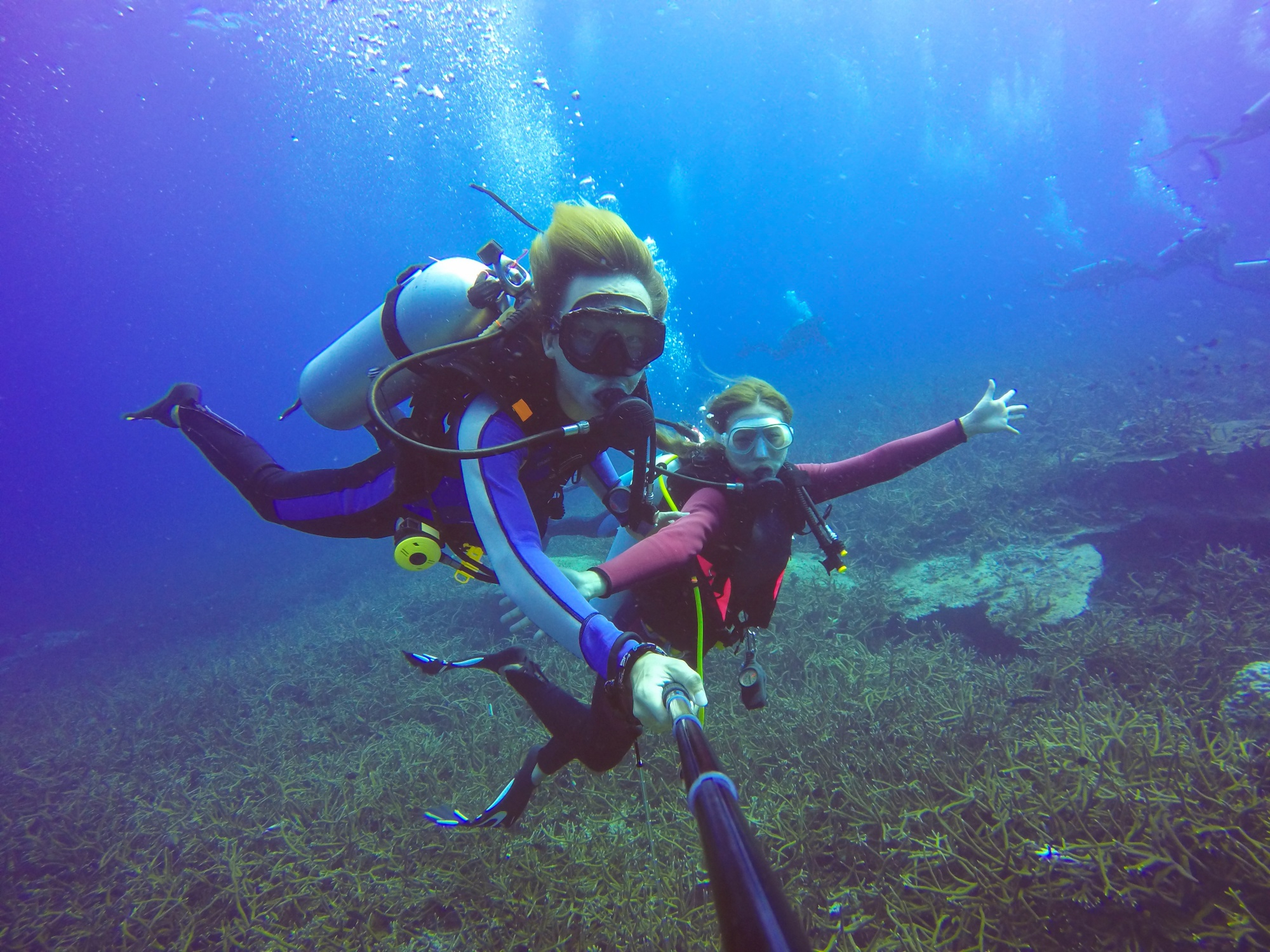 A couple is doing scuba diving under water 