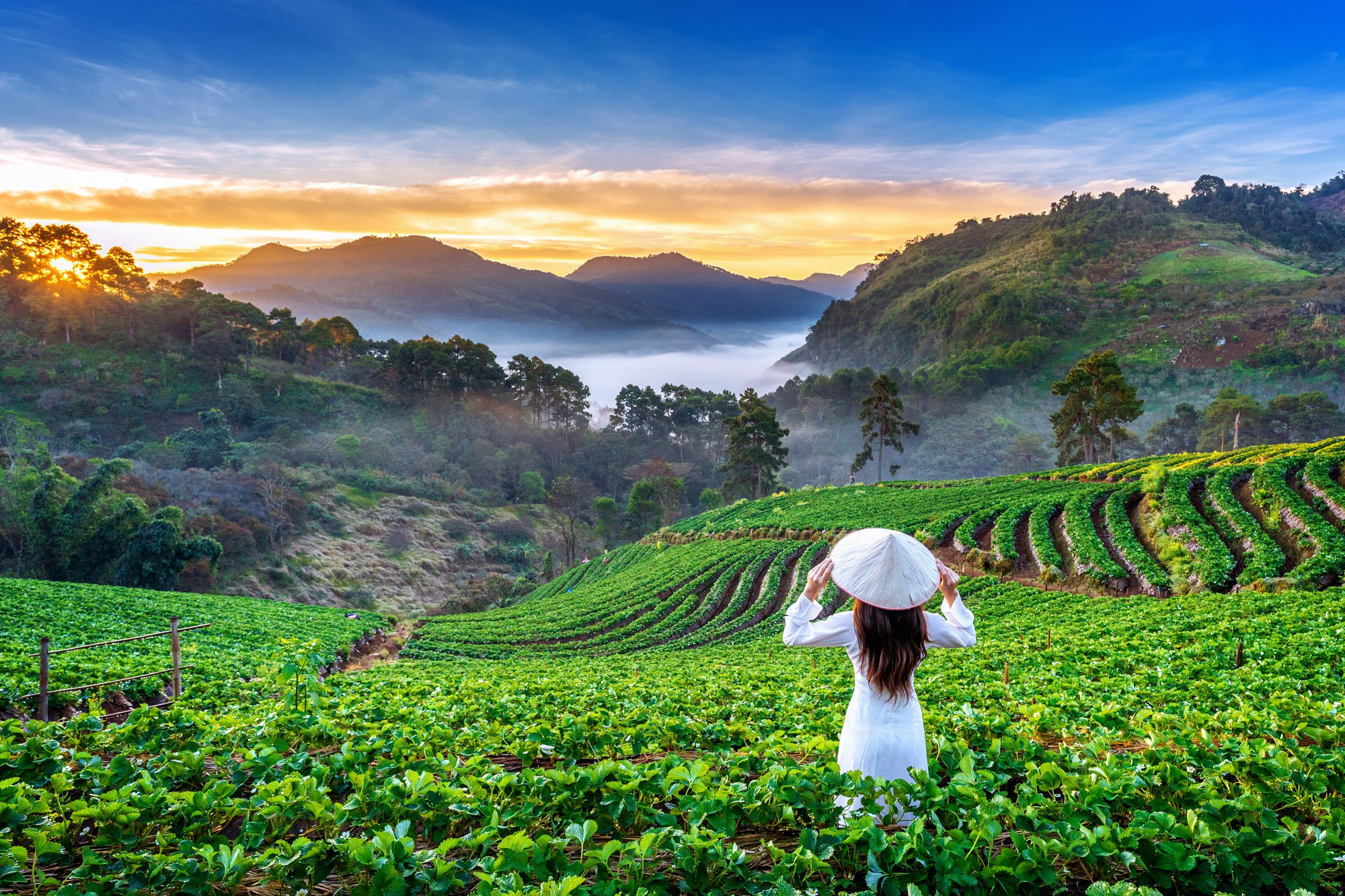 Discover Vietnam's Hidden Gems: Secret Spots Beyond Tourist Trails