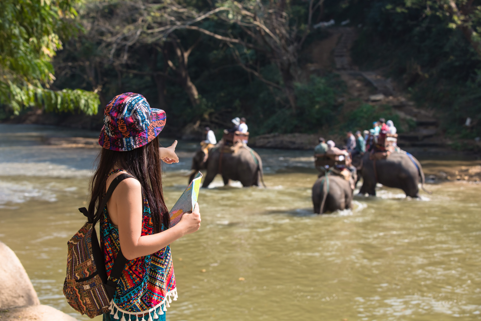 Visitors at the Elephant Jungle Sanctuary feed and interact with elephants, enjoying a close-up wildlife experience.