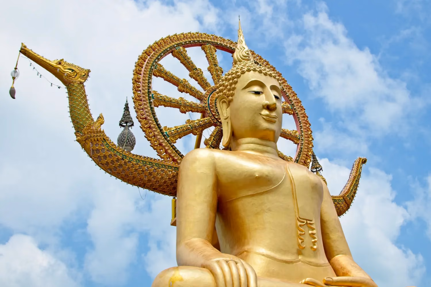 Buddha