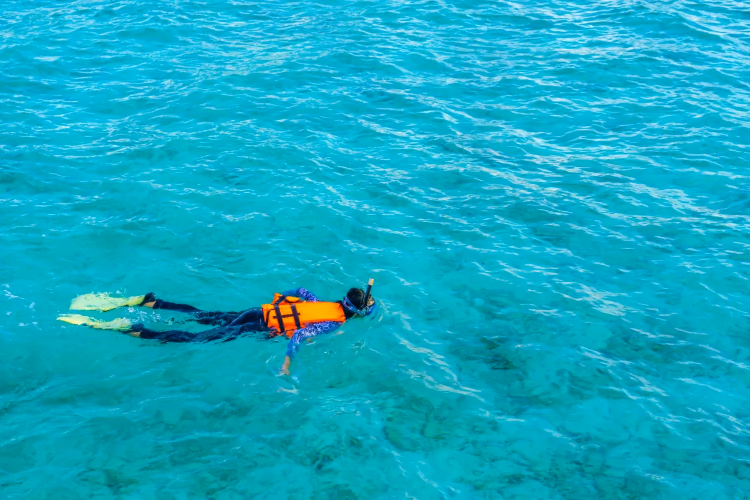 A couple snorkeling together in the sea, surrounded by colourful fishes and sea plants.