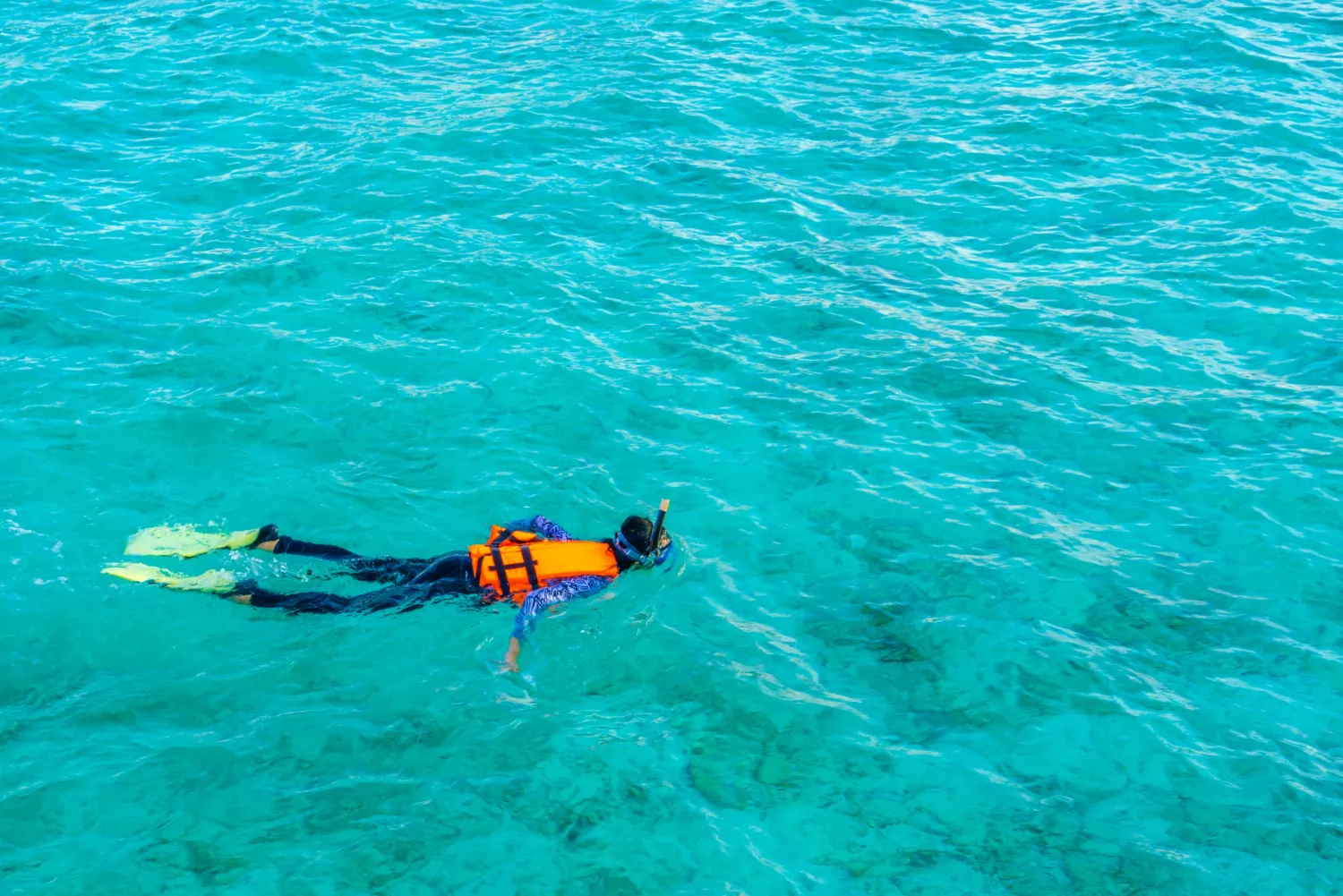 A couple snorkeling together in the sea, surrounded by colourful fishes and sea plants.