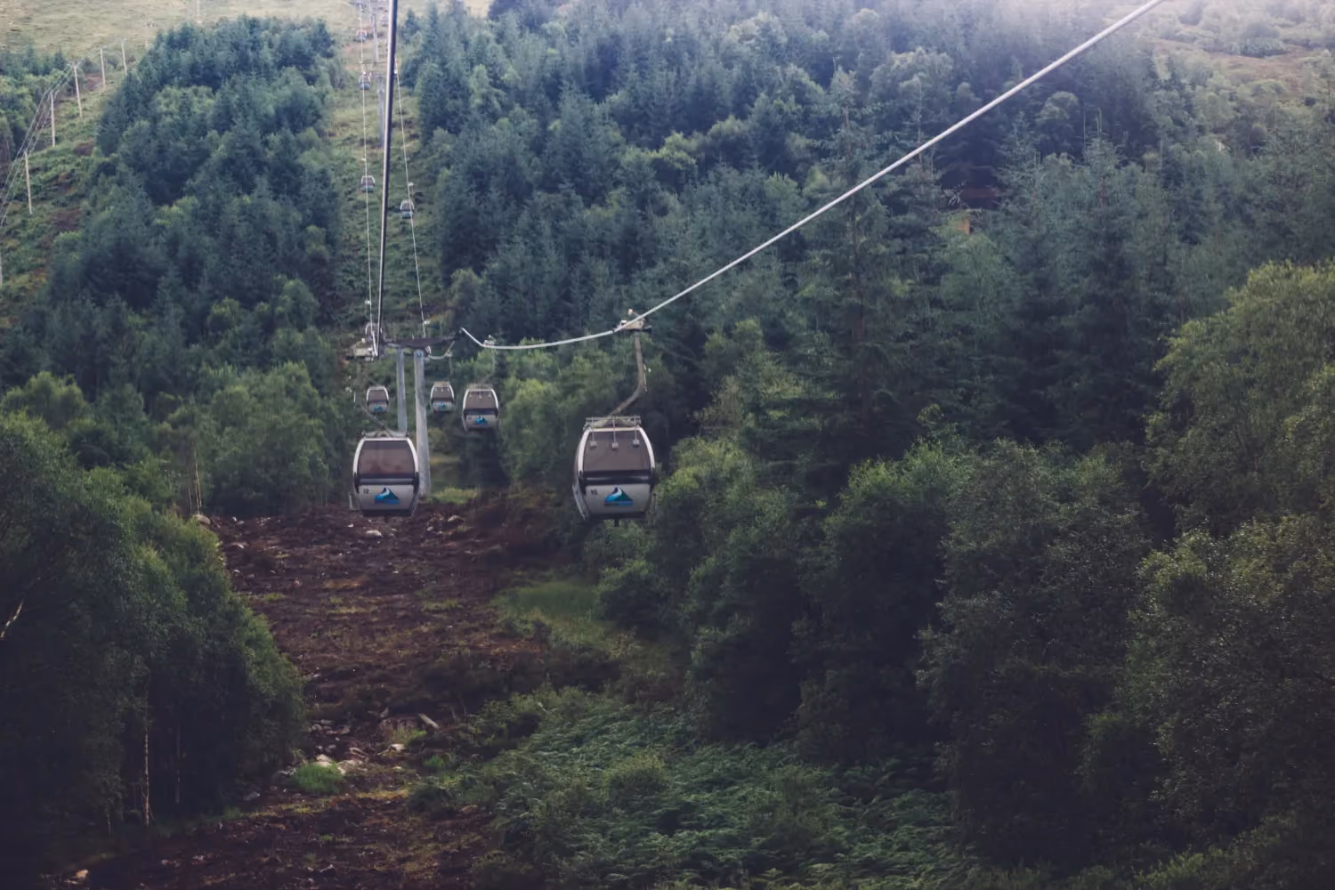Cable car adventure activities in vietnam