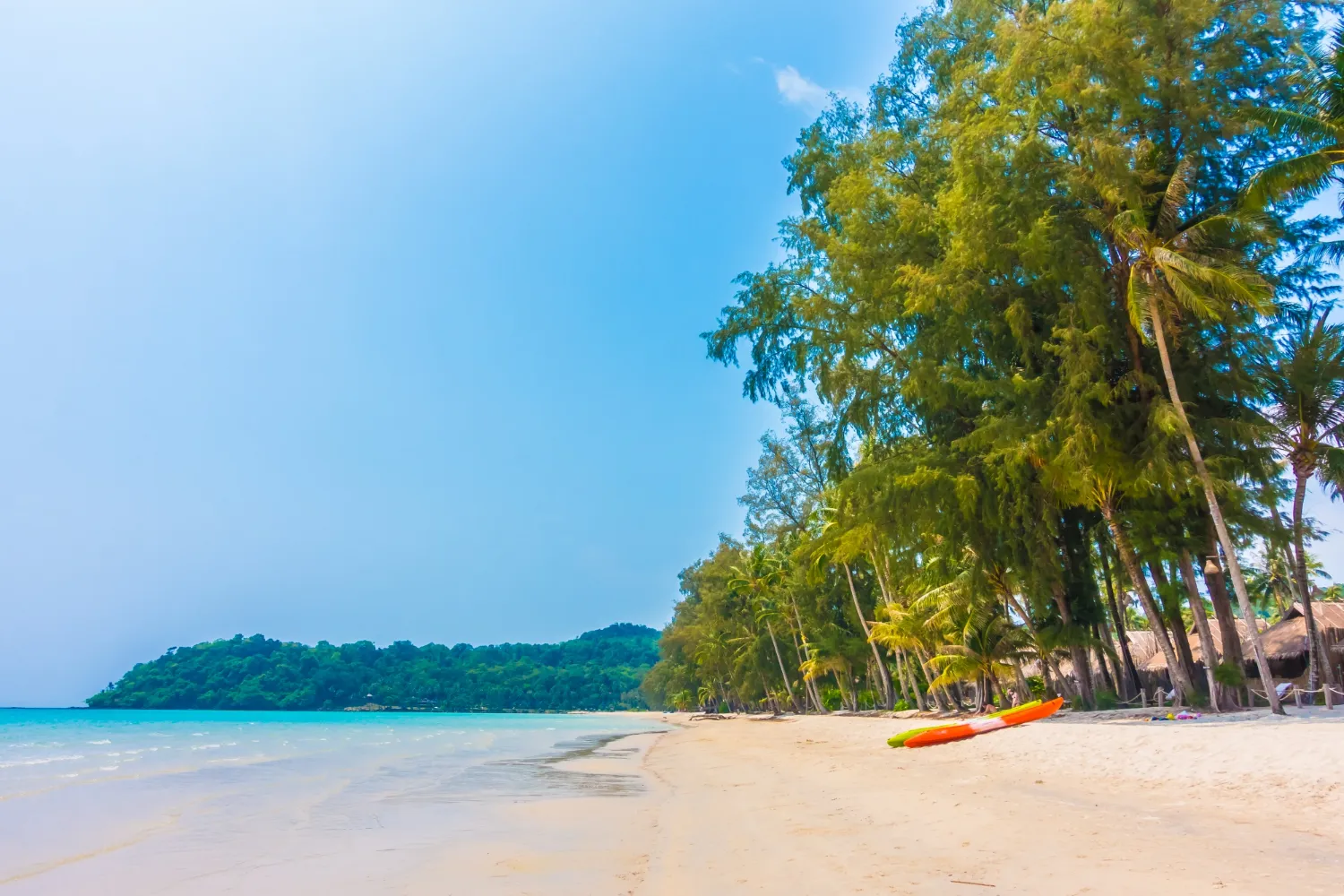 Tropical beach in Seychelles featuring sea, granite rock formations, and palm trees