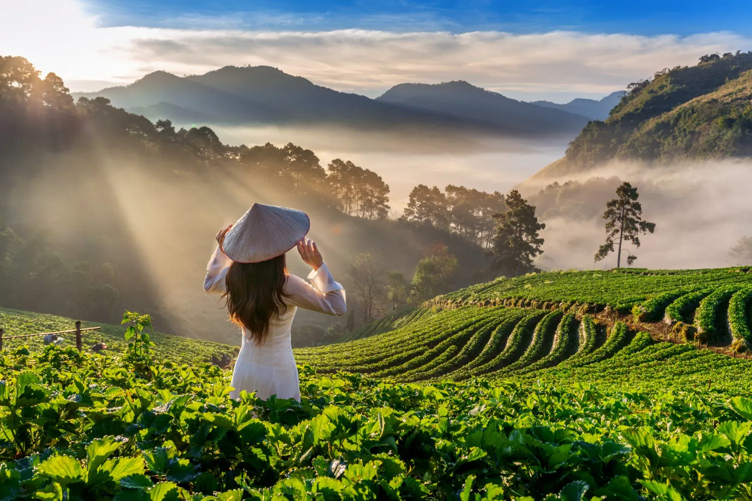 Vietnam vs Philippines: Beaches, Culture & Adventures Compared