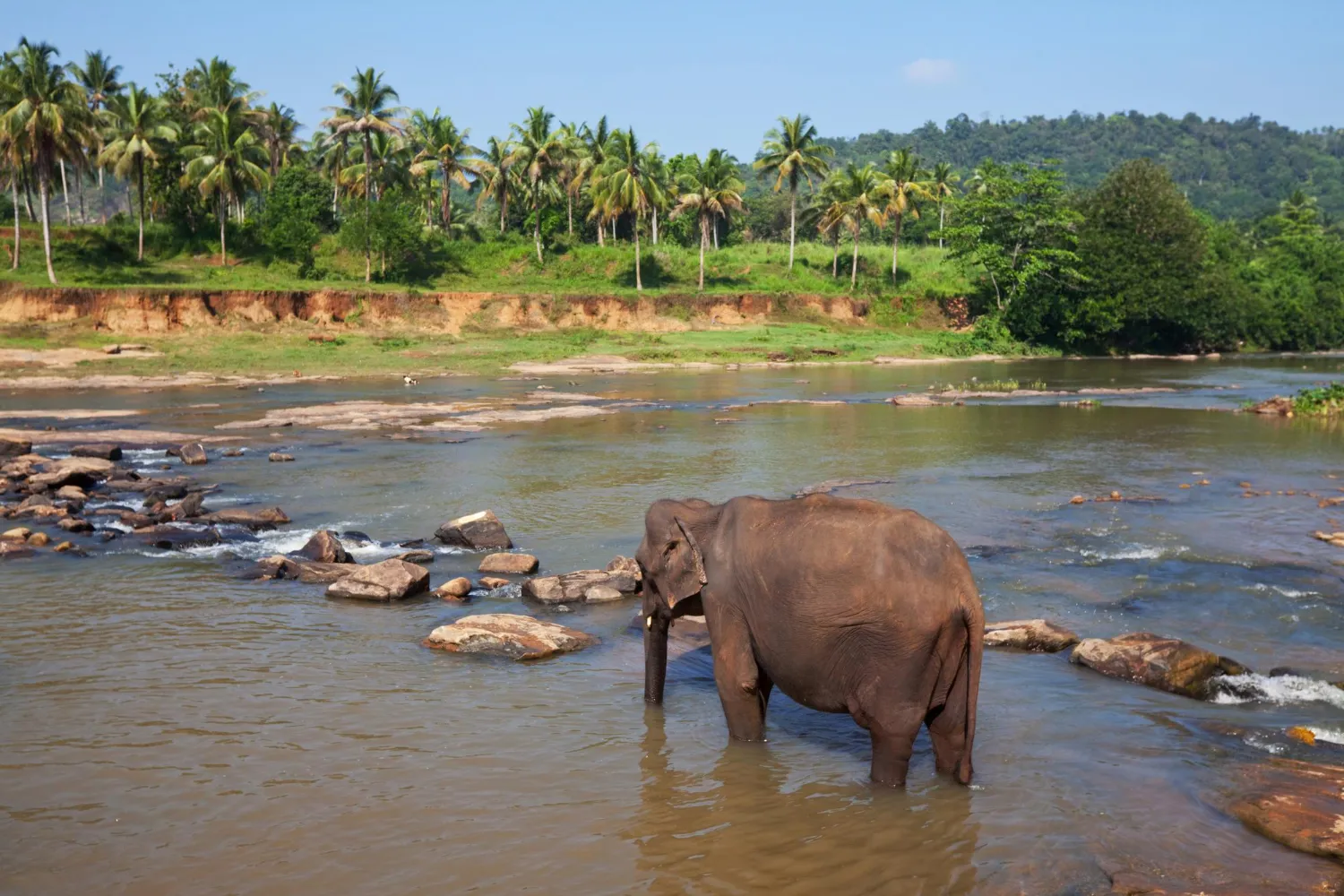 itinerary for sri lanka for 7 days