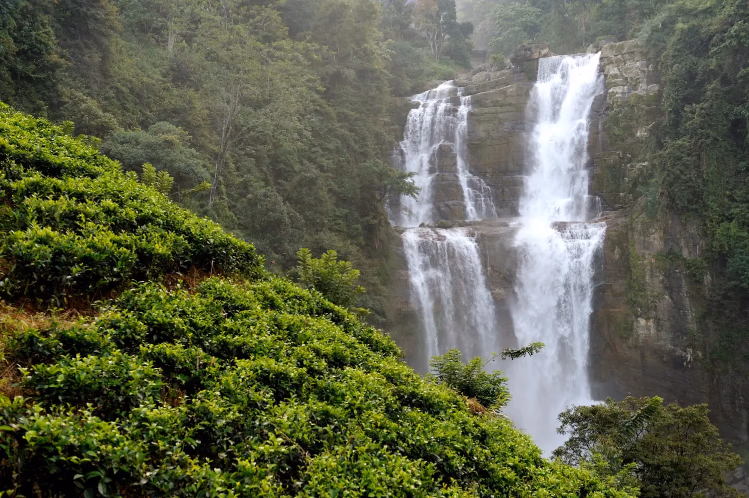 Explore the natural spots such as Mae Sa Waterfall in Chiang Mai