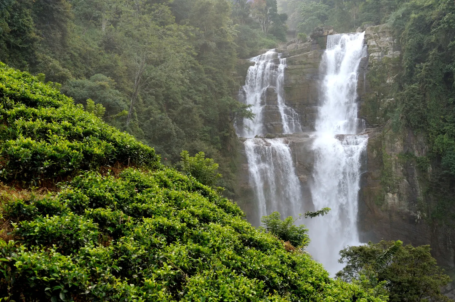Yeh Ho Waterfall in Ubud, Bali