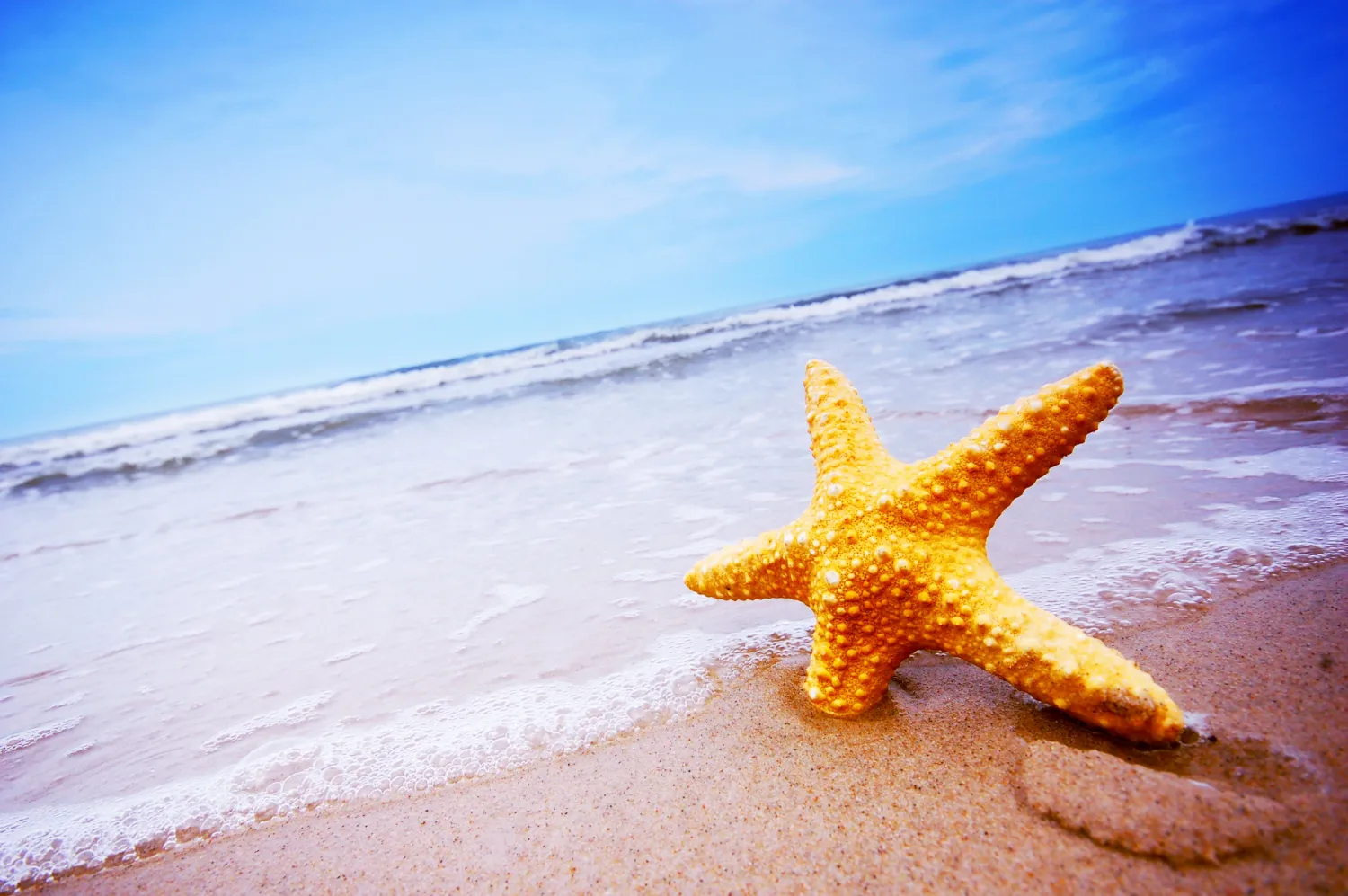 Starfish Beach, Phu Quoc