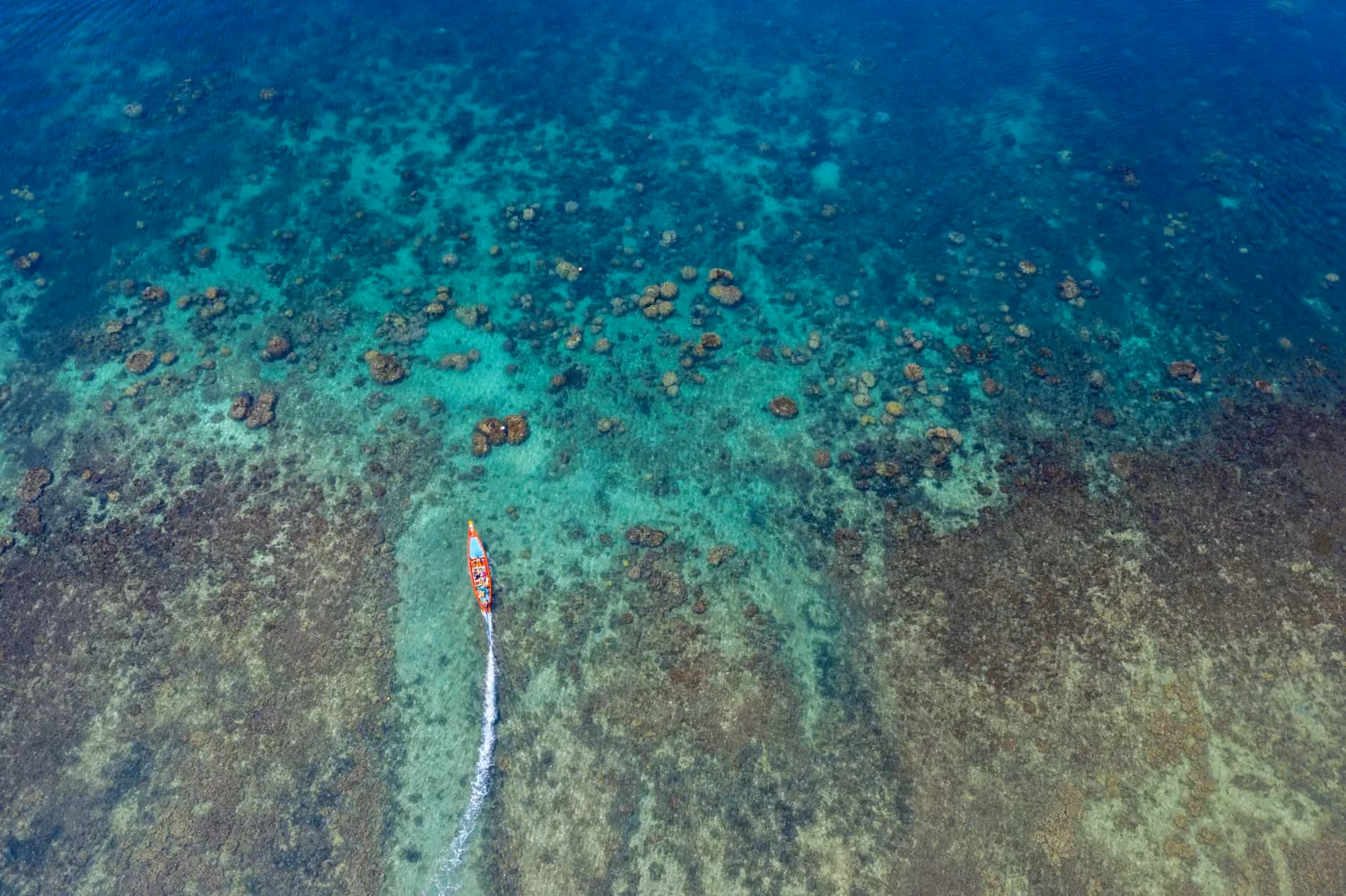 Phuket – Shark Point and Anemone Reef