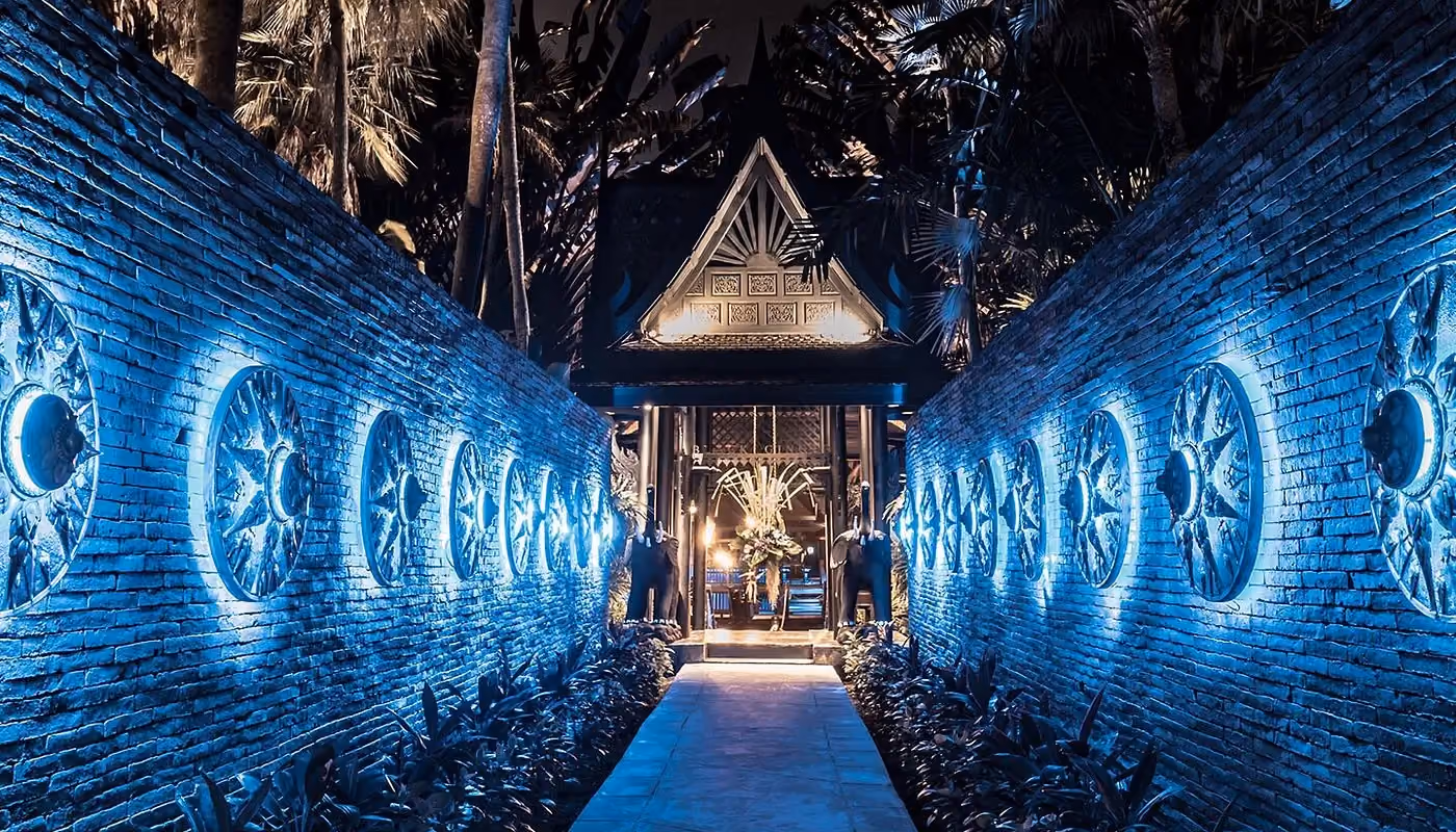 Golden moments at the sanctuary, blue-hued magic at Black Ginger