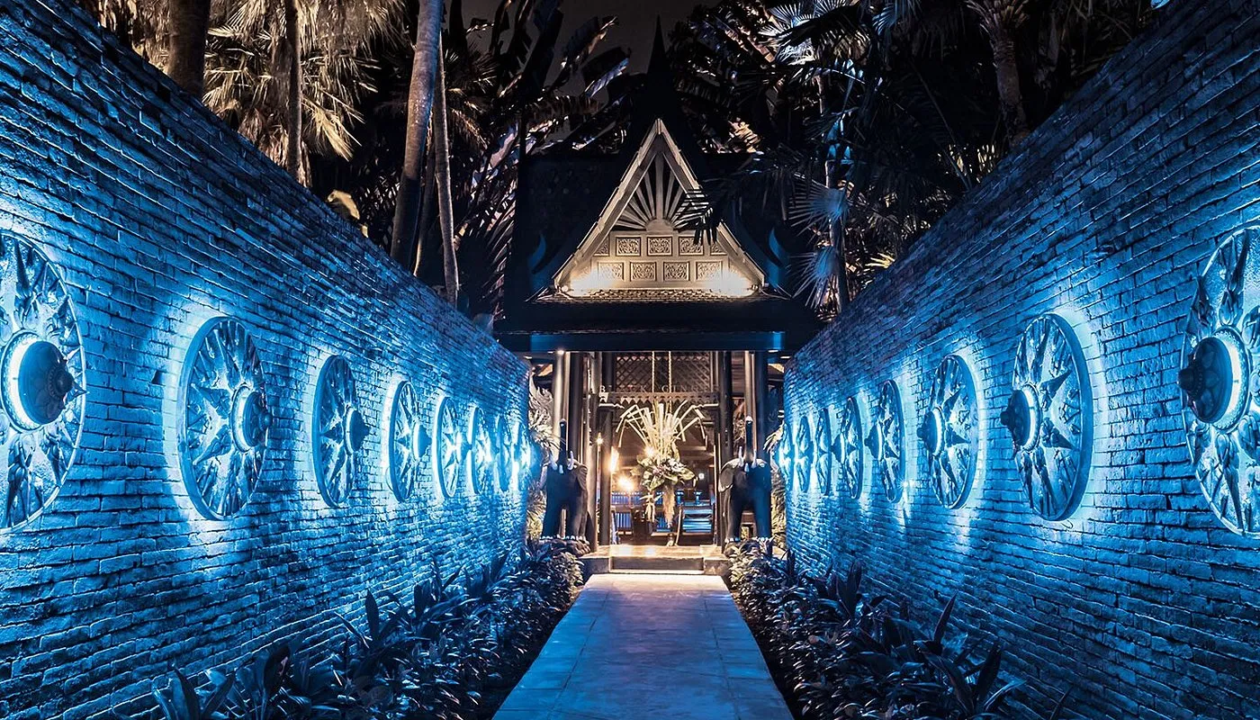 Golden moments at the sanctuary, blue-hued magic at Black Ginger
