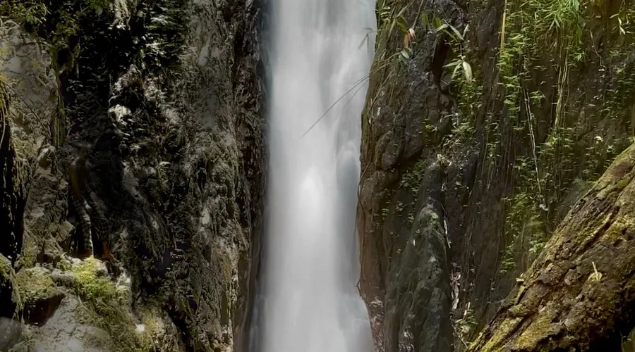 Bang Pae’s refreshing escape into the wild.