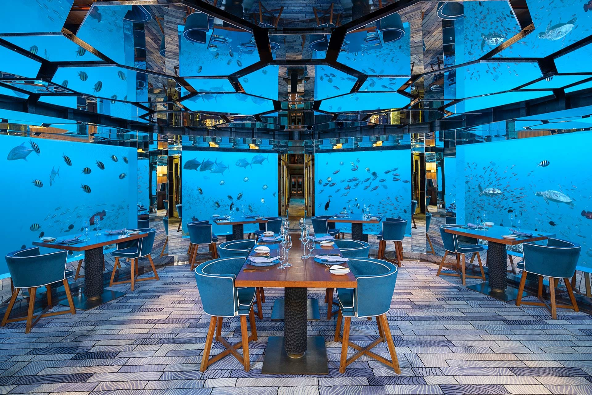 Dine Beneath the Waves: Exploring the Best Underwater Restaurants in the Maldives