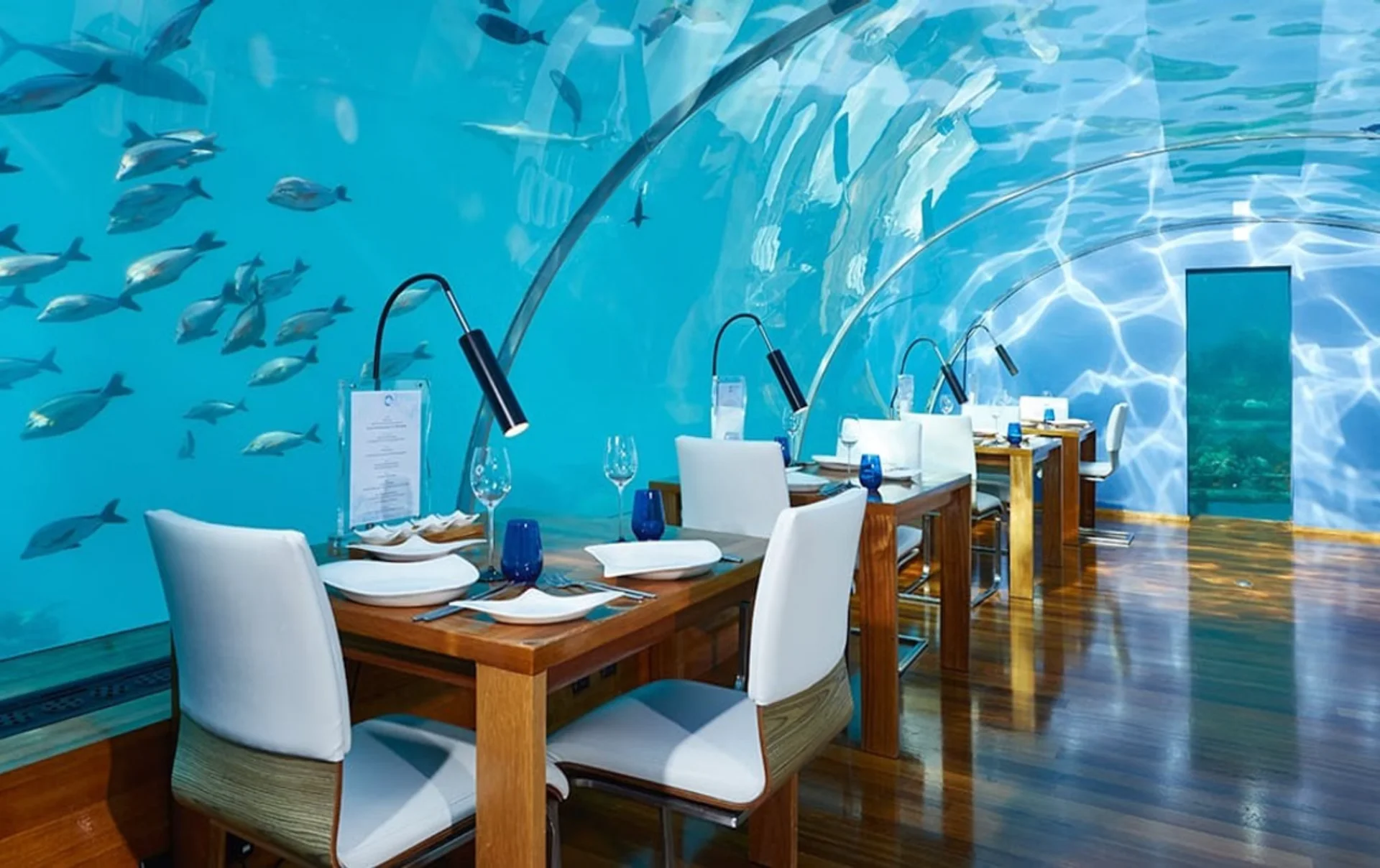 Dine 5 meters below sea level at the iconic Ithaa — where every bite meets the beauty of the ocean.