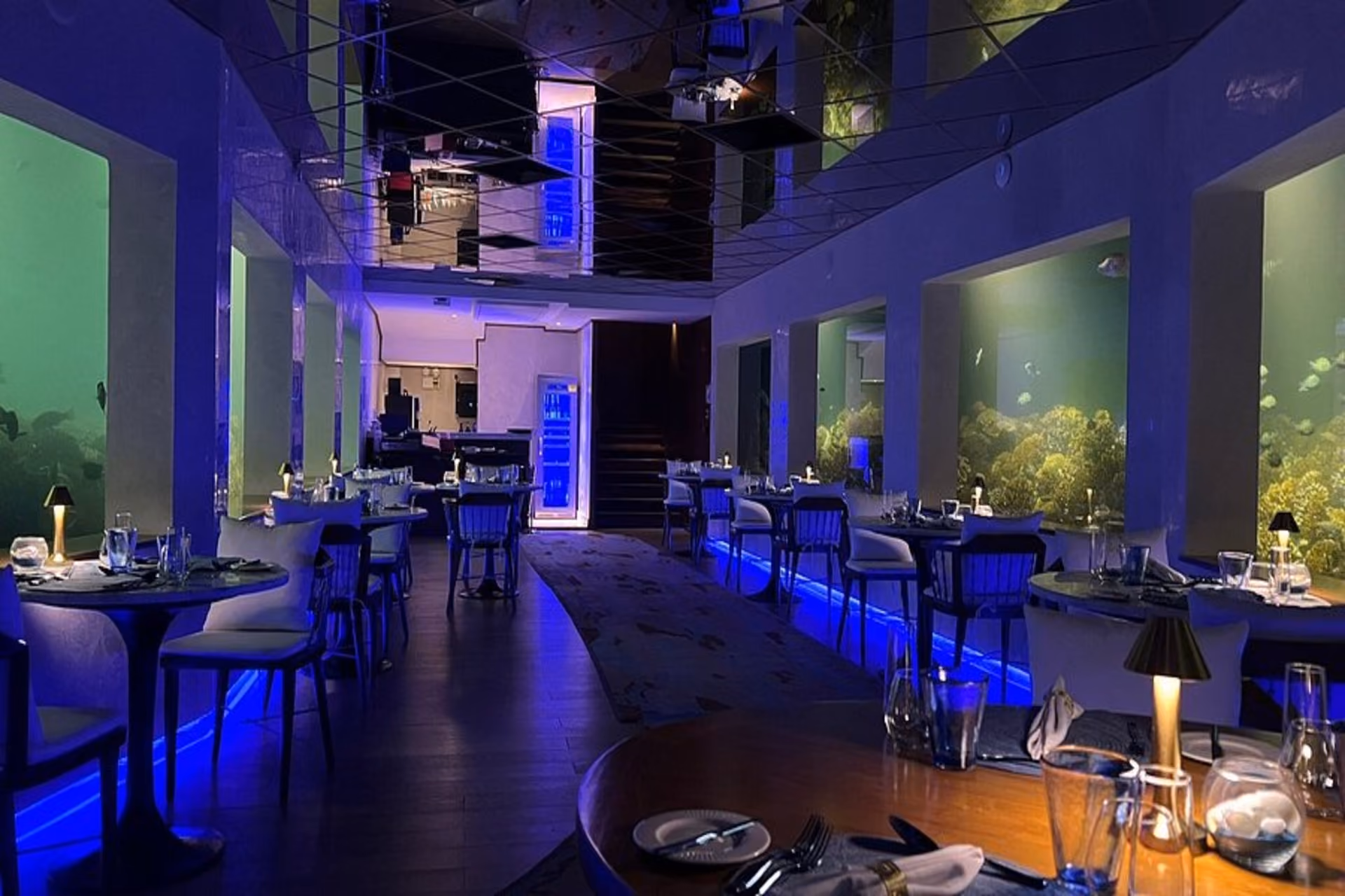 Exclusive ocean-view dining with panoramic blue that feels straight out of a dream.