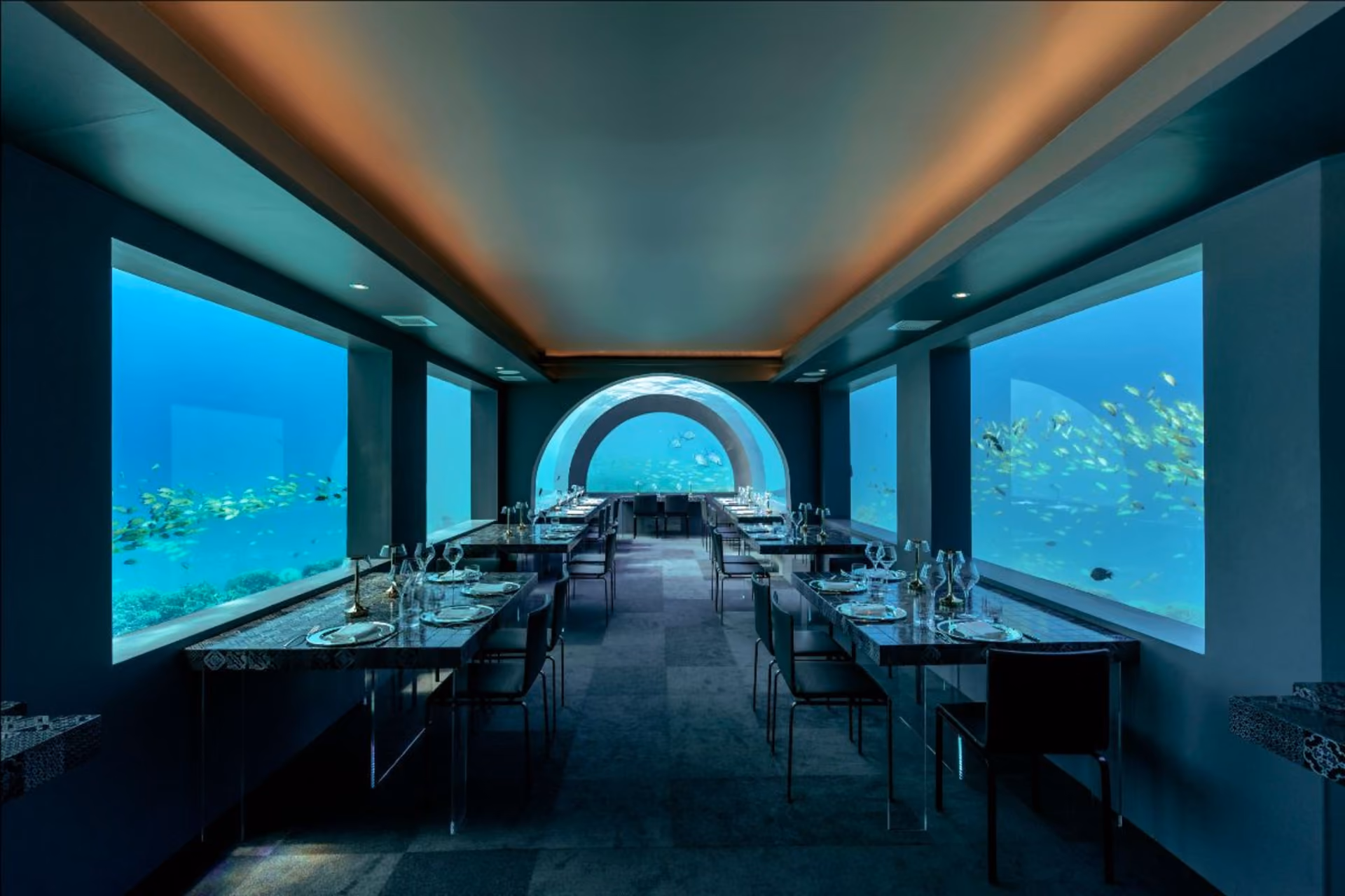 Fine dining meets crystal-clear ocean views in a fully immersed underwater setting.