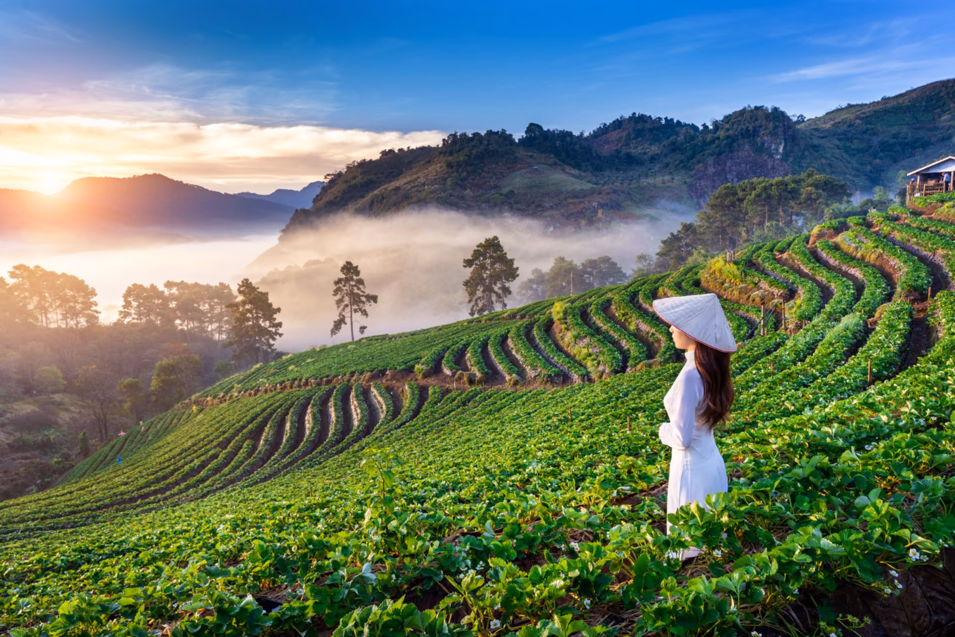 Rice terraces and mountain views at every step.
