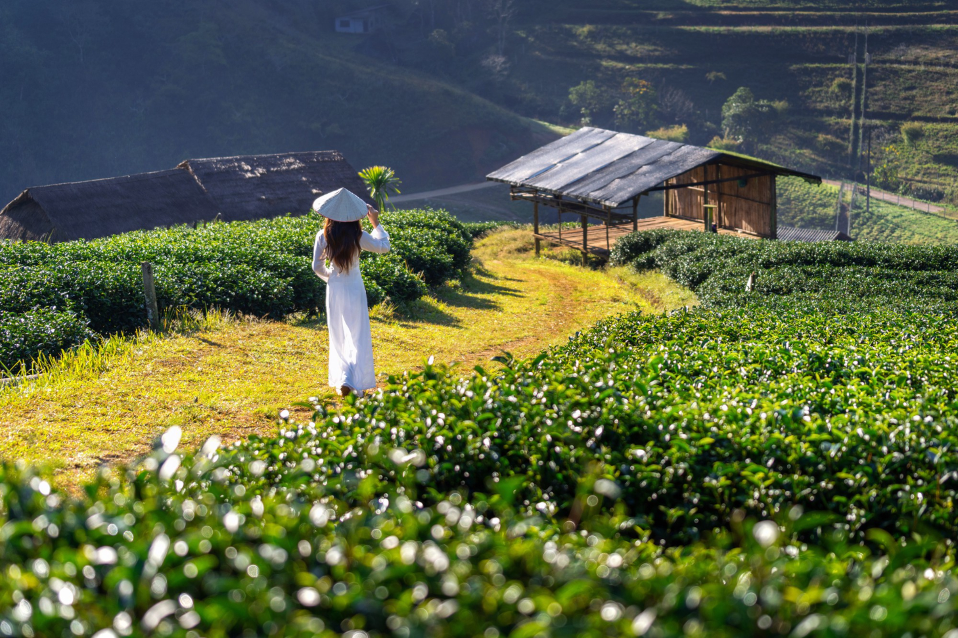 Local life, open fields & slow travel moments in Lao Chai Village.