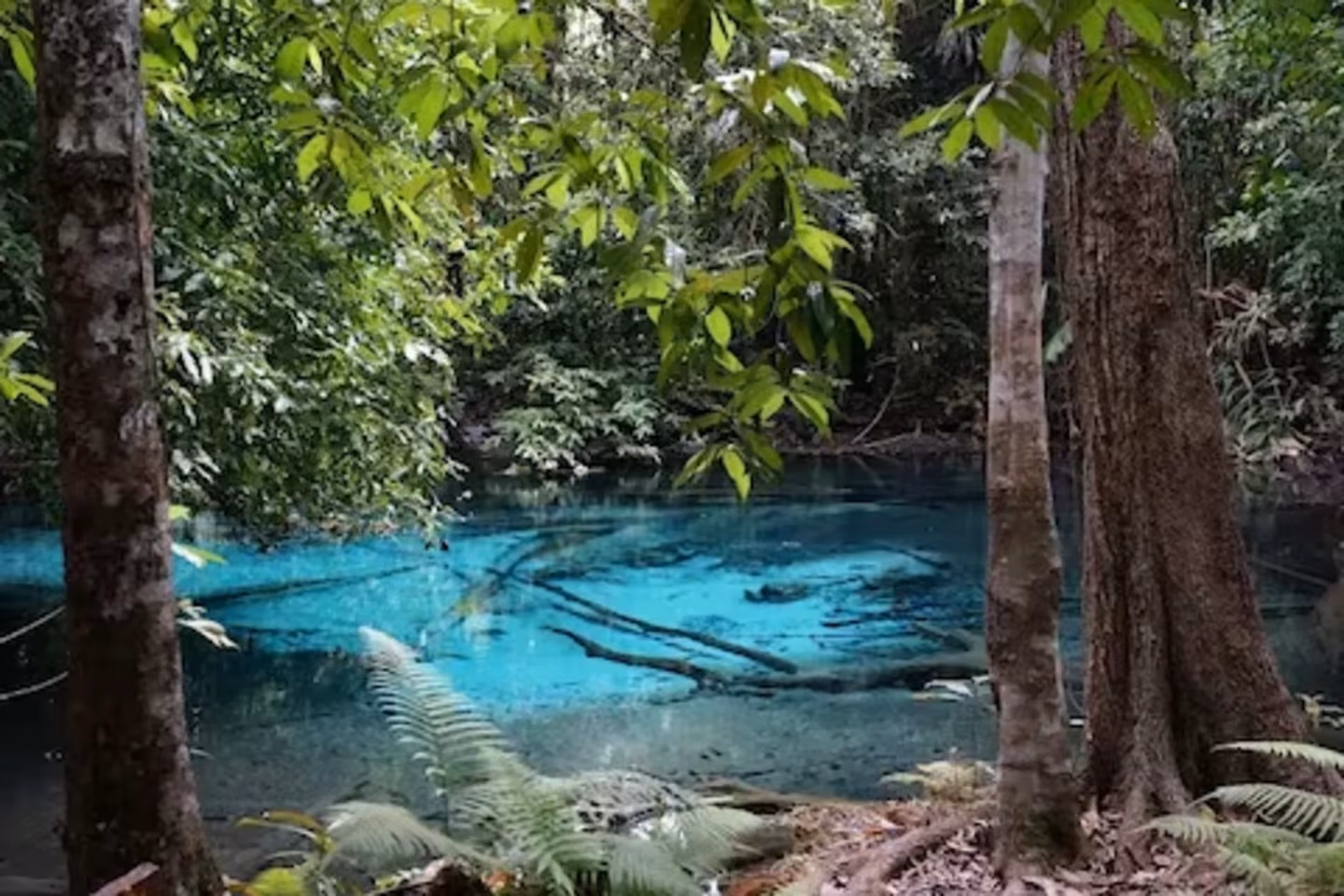Walk hand-in-hand through emerald forests, soft sounds, and peaceful nature trails.