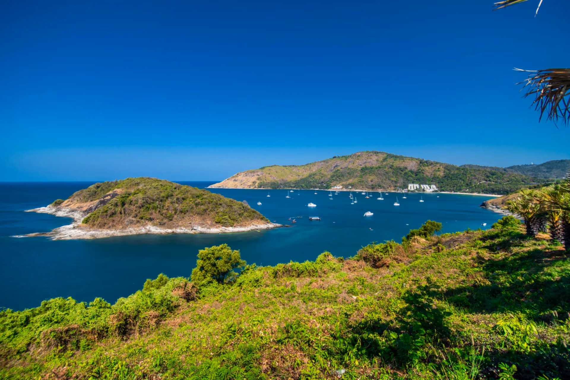 Welcome to Tonsai Bay — where boats, blue waters, and island energy meet