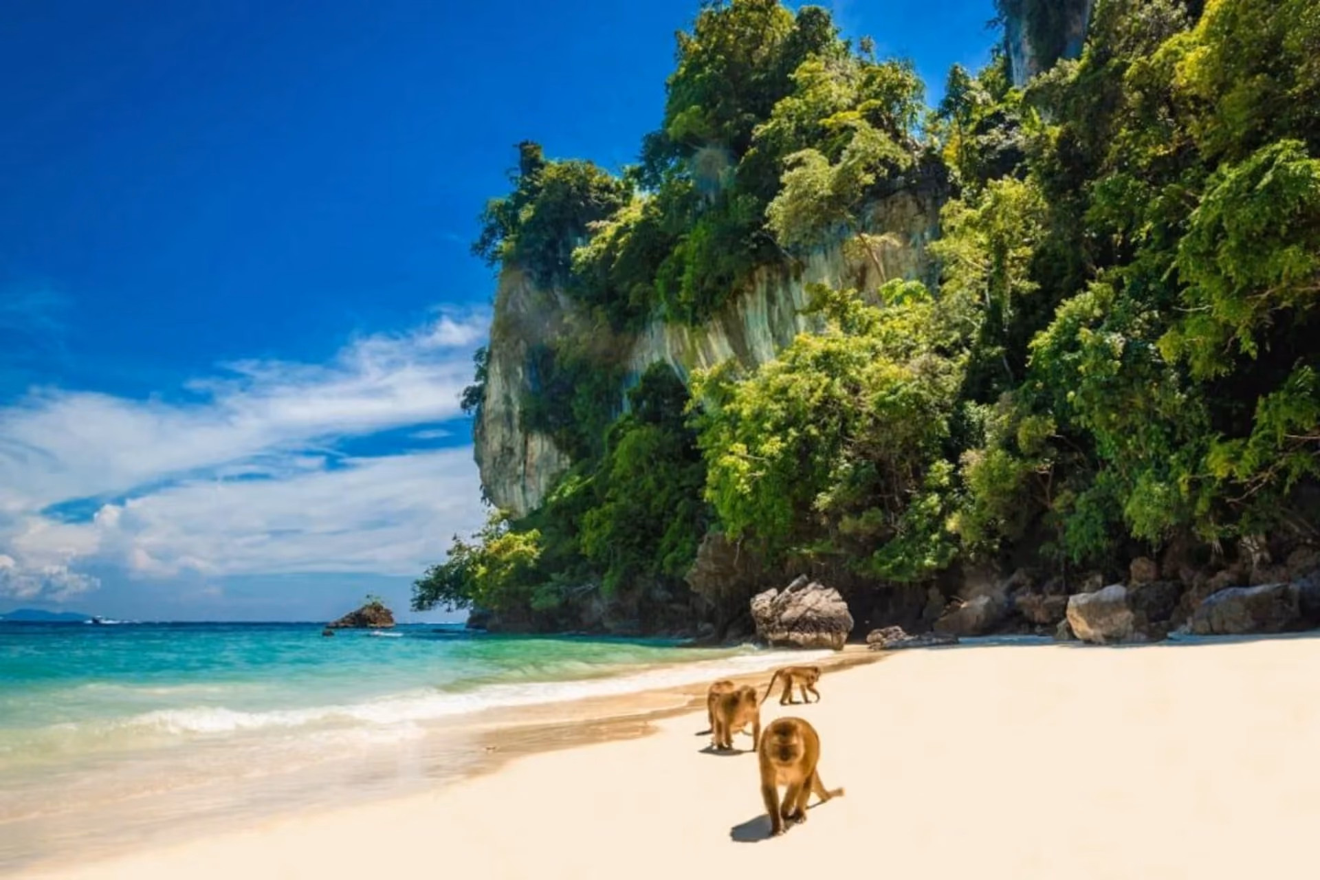 Wild monkeys, soft sands, and clear waters — Monkey Beach is small but full of charm.
