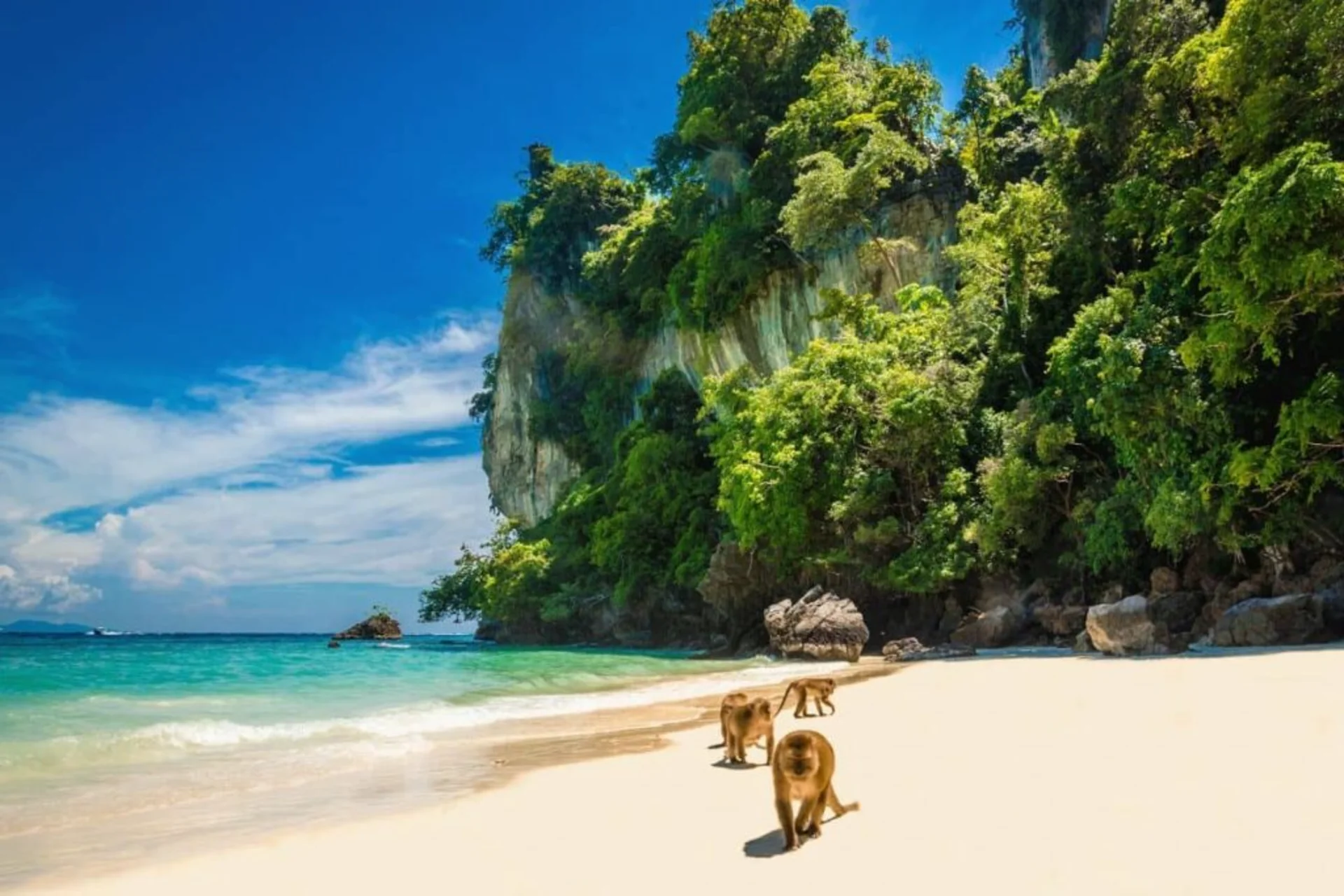 Wild monkeys, soft sands, and clear waters — Monkey Beach is small but full of charm.