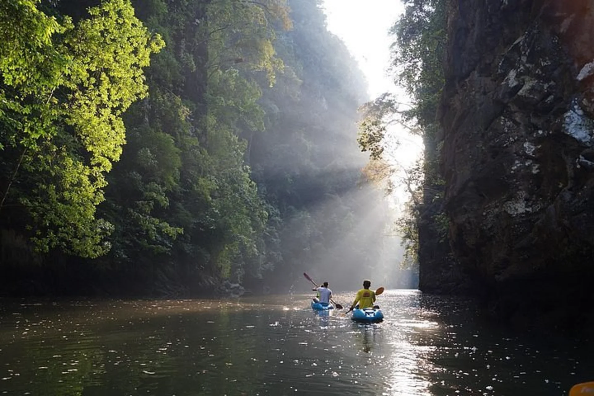 Quiet mangroves and calm kayaking routes—Ao Thalane feels peaceful and untouched.