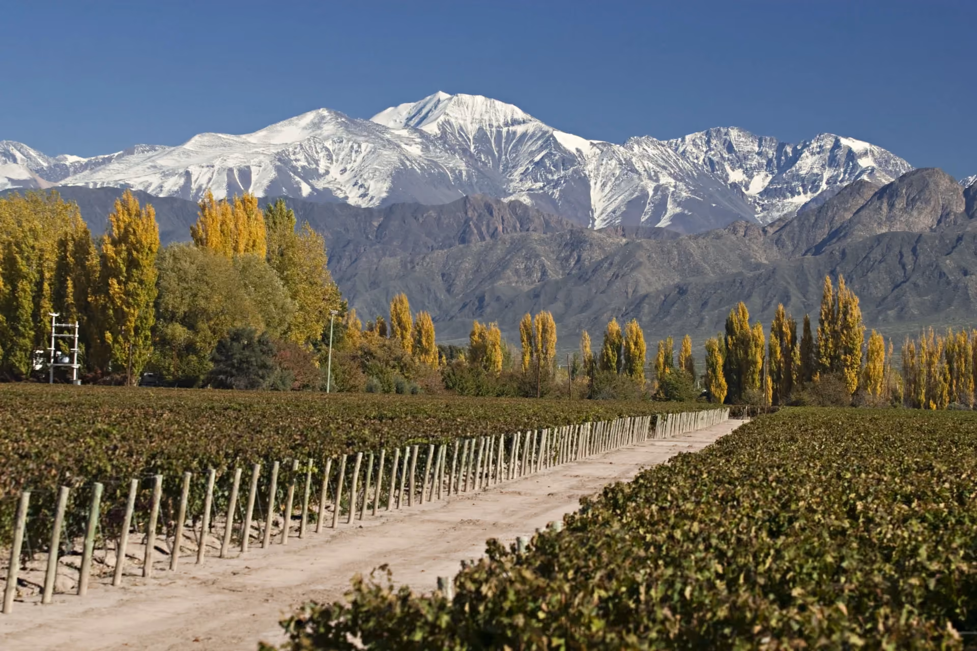 Scenic vineyards, elegant cities, and comfortable summer weather make Argentina a standout February destination.