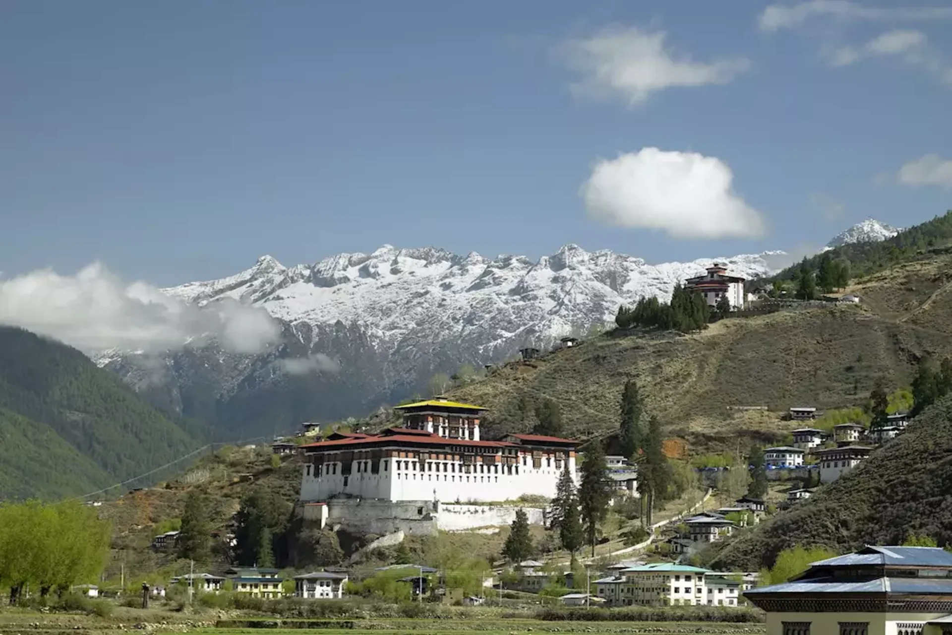 Peaceful monasteries, spring blooms, and Himalayan views.