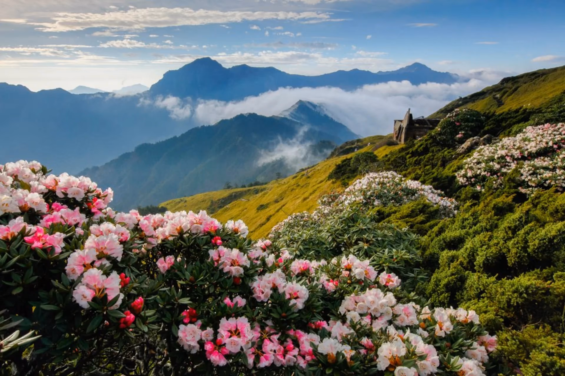 Mild spring weather and blooming landscapes make Taiwan a charming March destination.