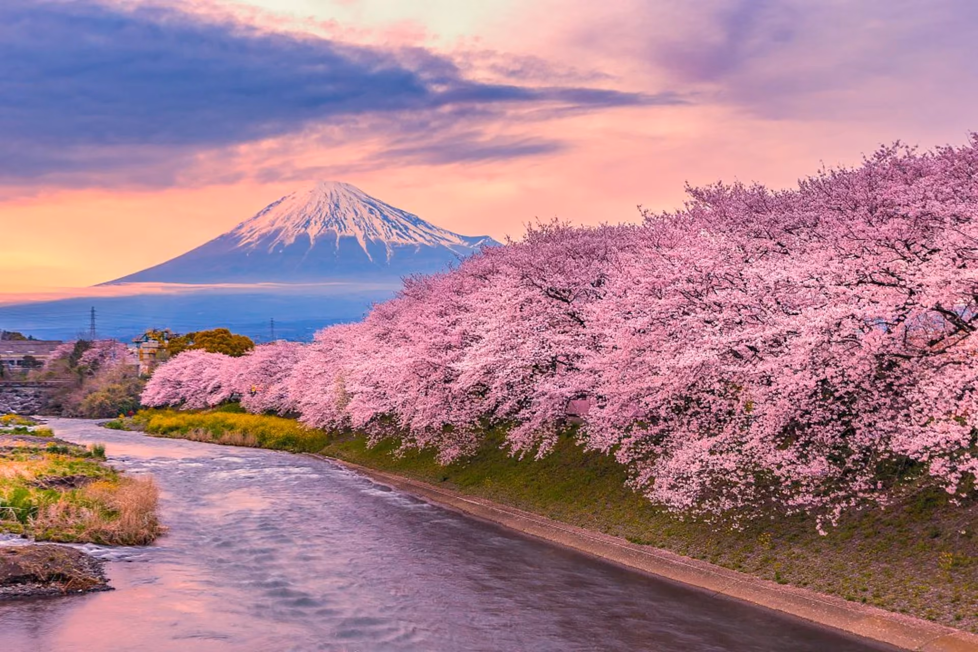 Cherry blossoms transform Japan into a dreamlike destination every April.