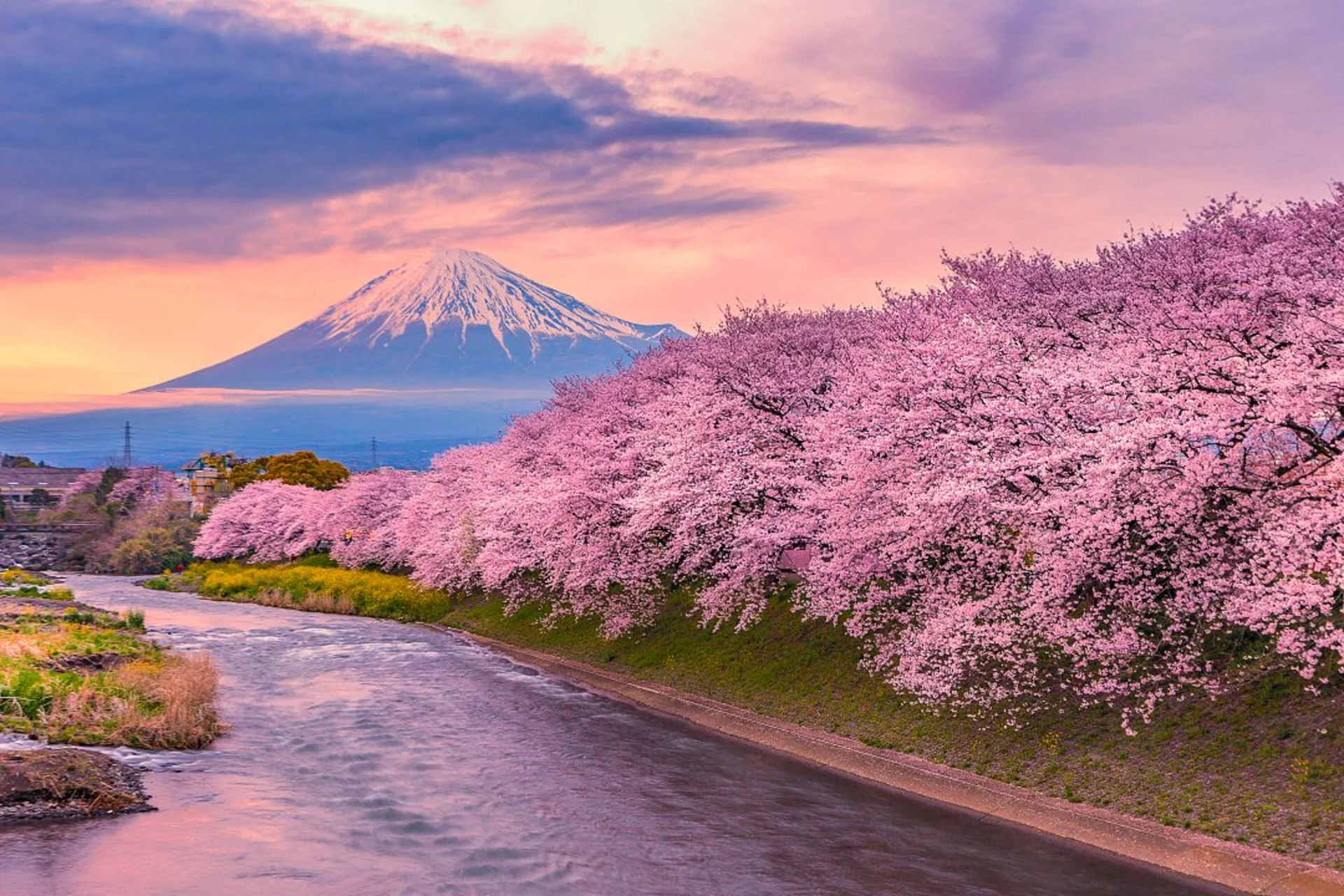 Japan in April, best countries to visit for cherry blossoms and scenic city views.
