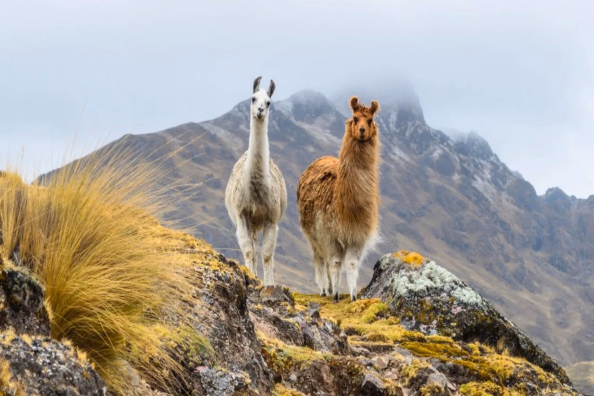 Dry weather and dramatic landscapes make Peru ideal for cultural discovery and adventure travel in June.
