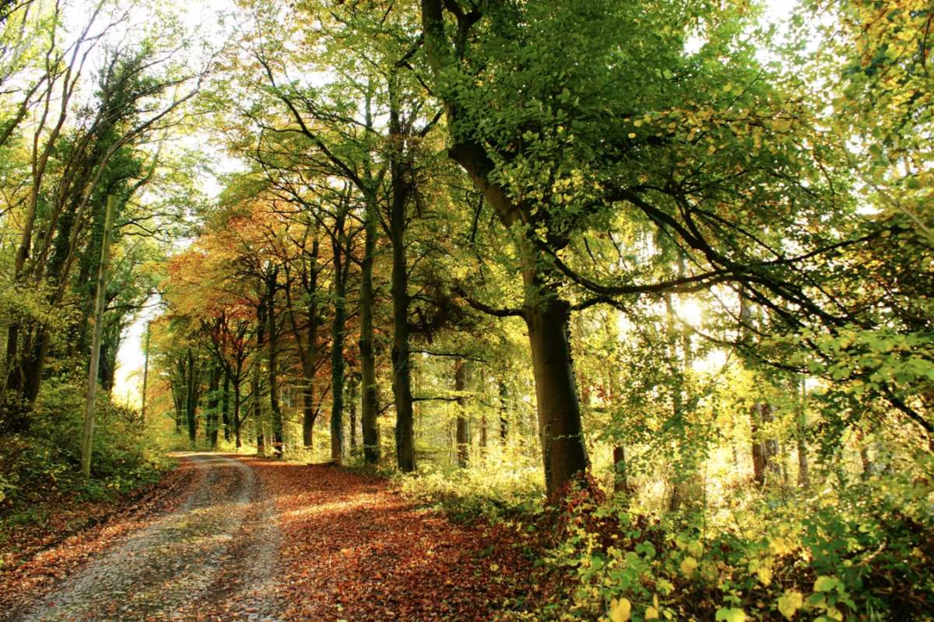 Best places to travel in November - Kazakhstan steppe landscape and mountain scenery