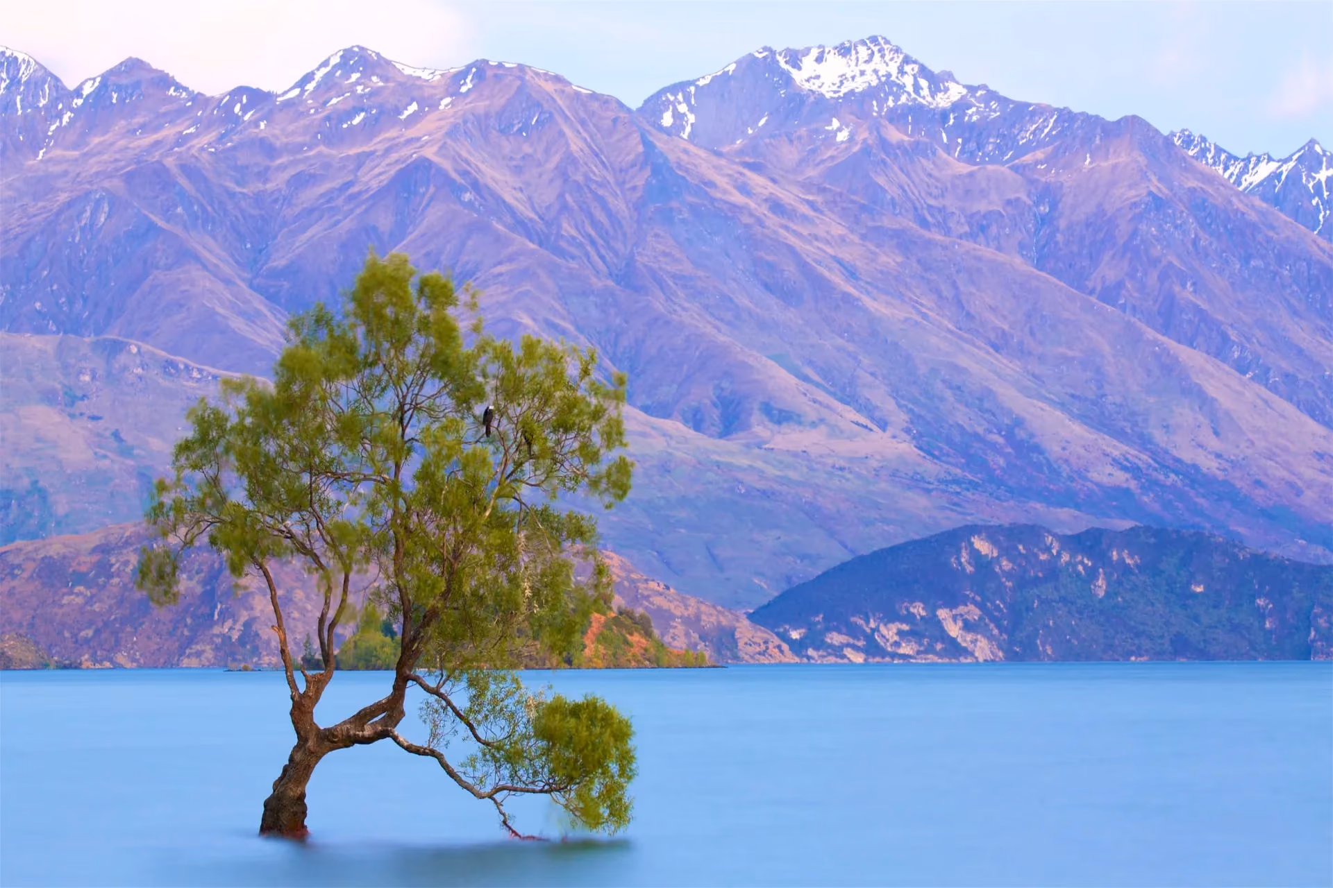 Best things in New Zealand - Wanaka lake views and famous lone tree landscape