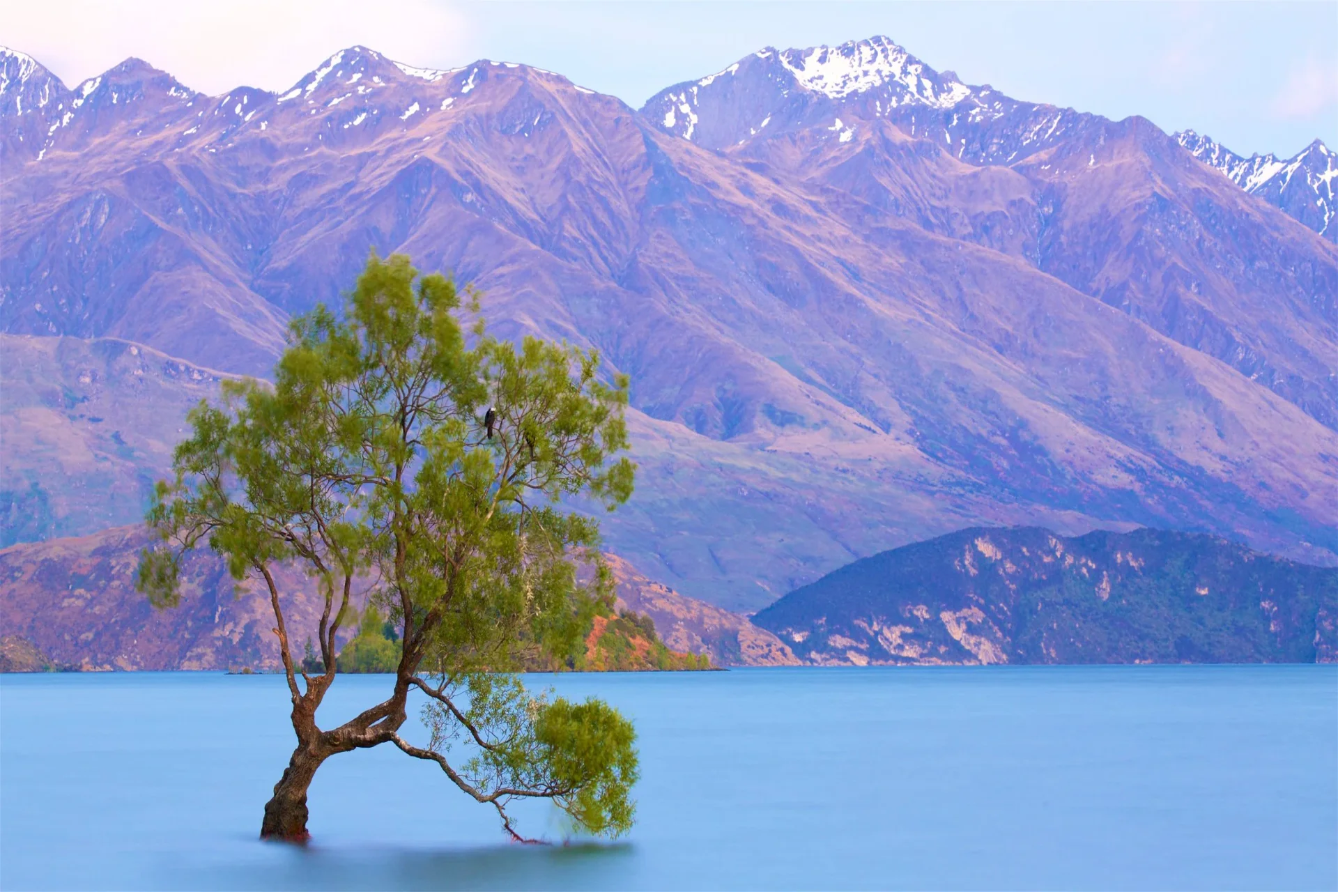 Best things in New Zealand - Wanaka lake views and famous lone tree landscape