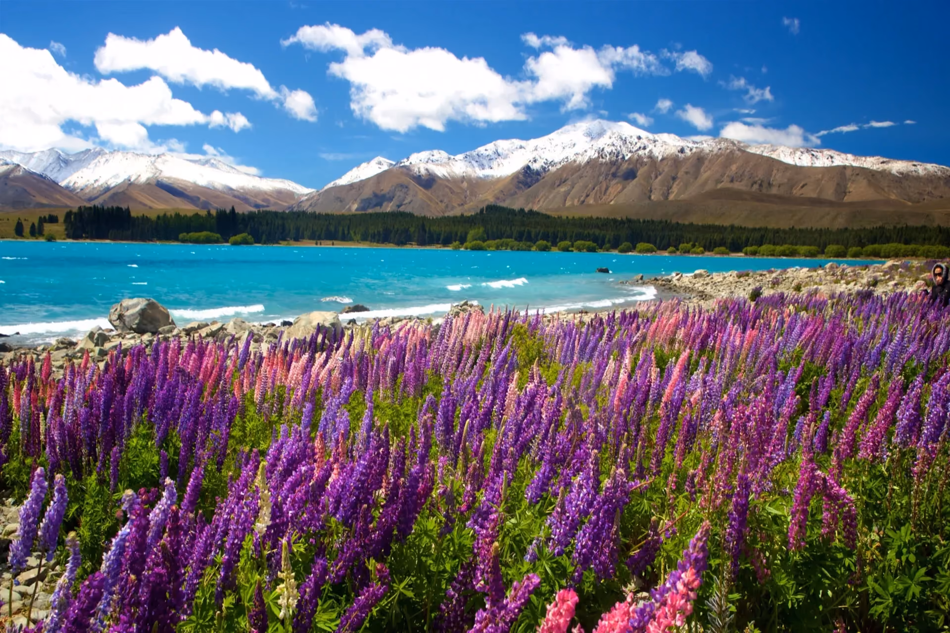 Places to visit in New Zealand - Lake Tekapo turquoise lake and Church of the Good Shepherd