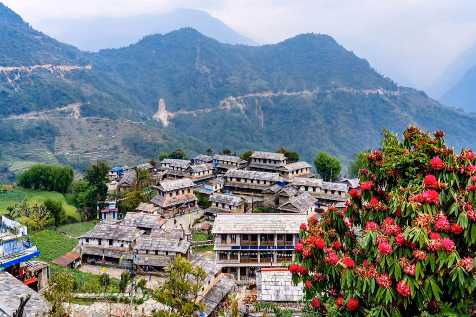 Best countries for 4 days trips in February Nepal — an unforgettable 4-day February destination with breathtaking mountain scenery and rich cultural heritage