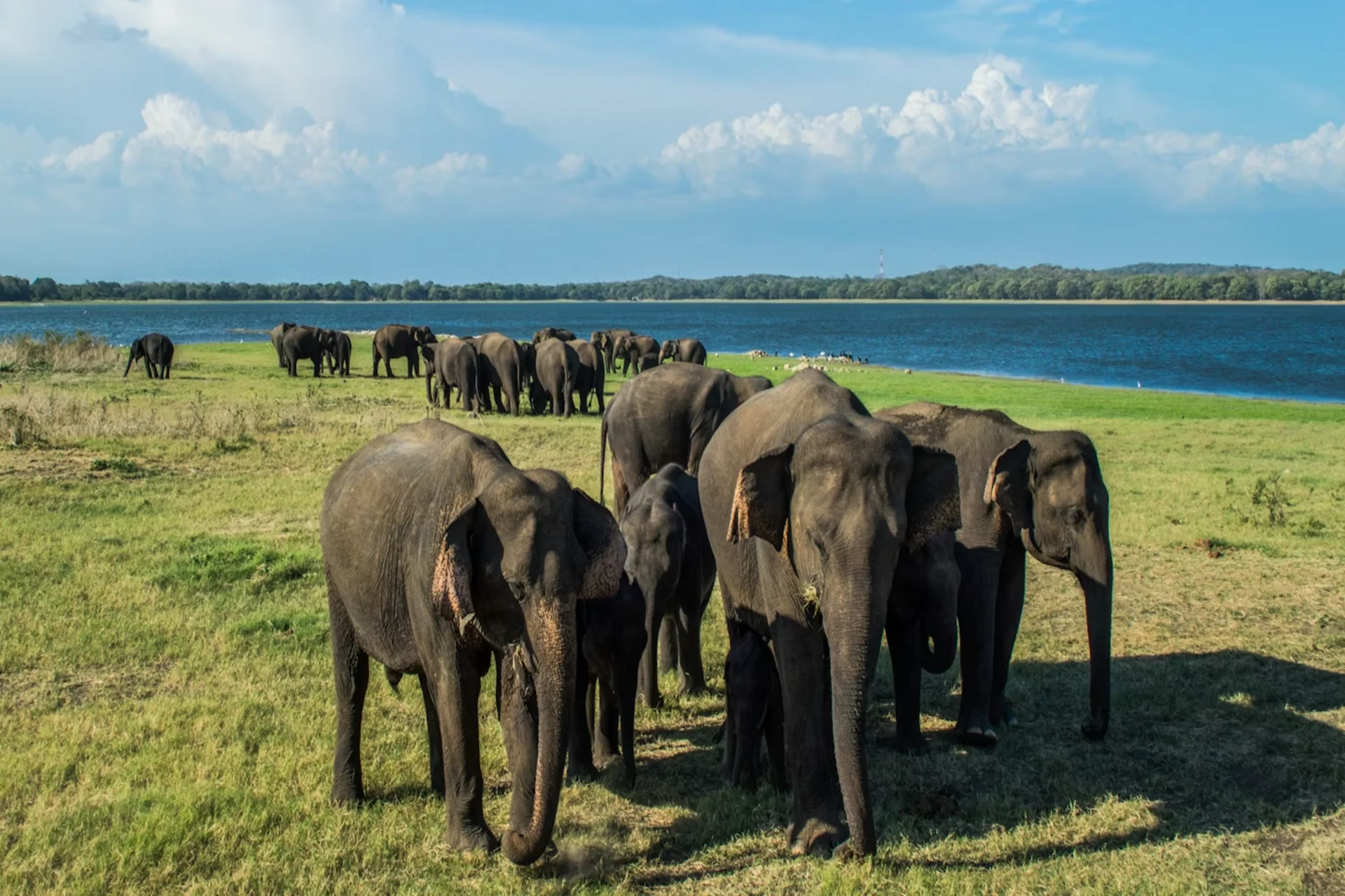 Sri Lanka – best nature destination to visit for diverse wildlife and coastal beauty