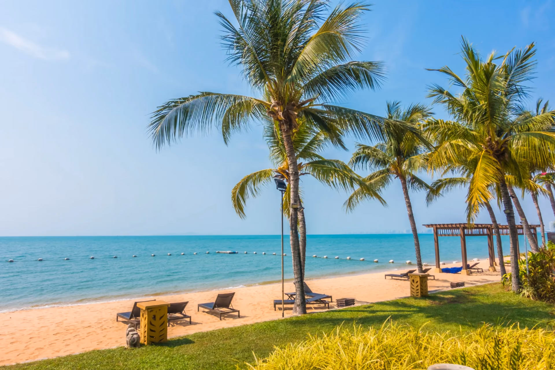 A quiet tropical beach in Mirissa, Sri Lanka, lined with coconut palms and empty sun loungers facing calm turquoise water — a low-crowd coastal escape ideal for couples choosing Sri Lanka over busier beach destinations.