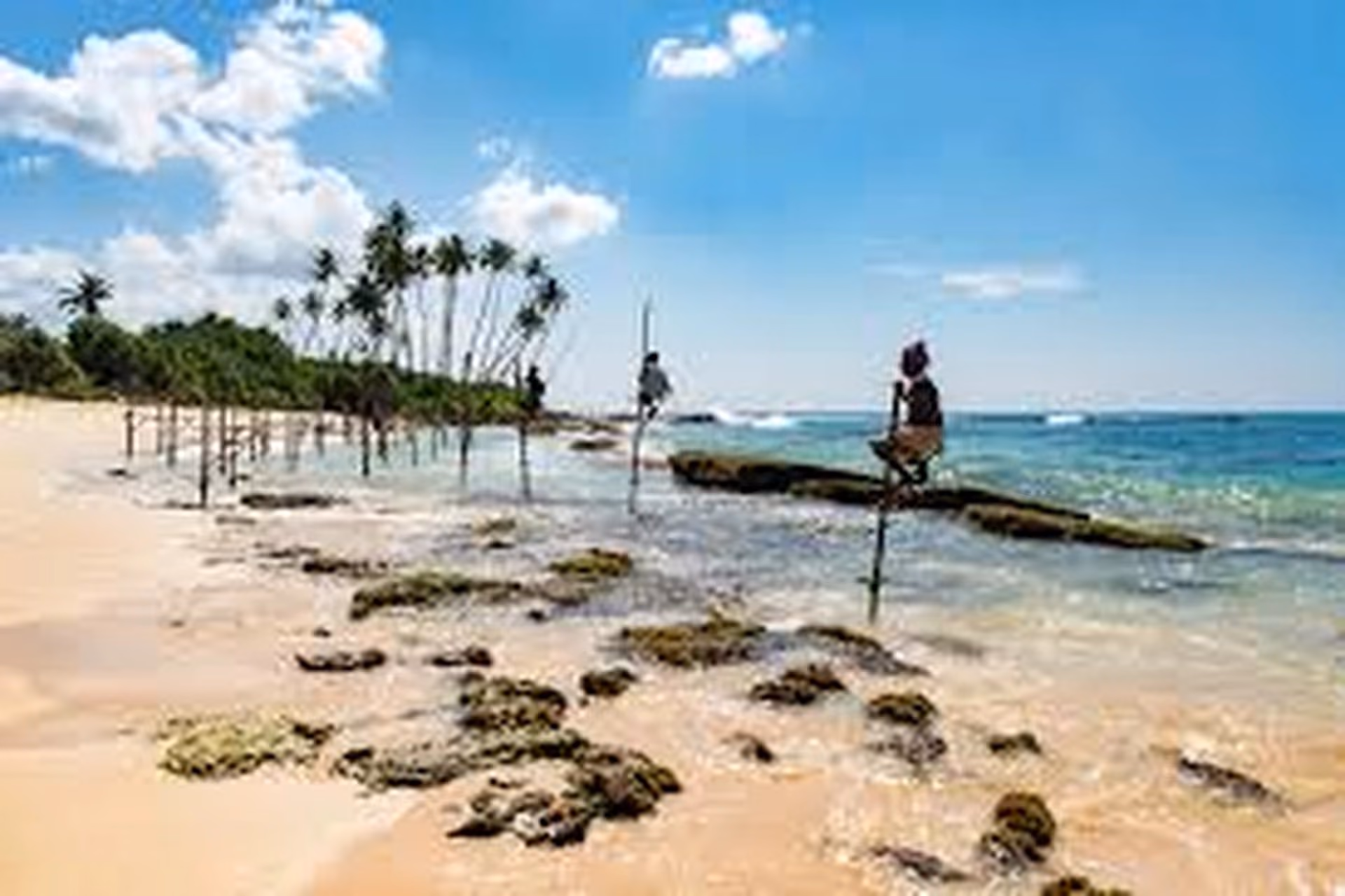 Mirissa Beach: Best Sri Lankan Beaches