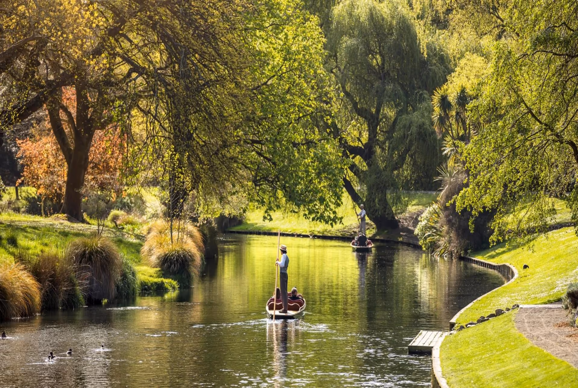 Departure from Christchurch: New Zealand Itinerary