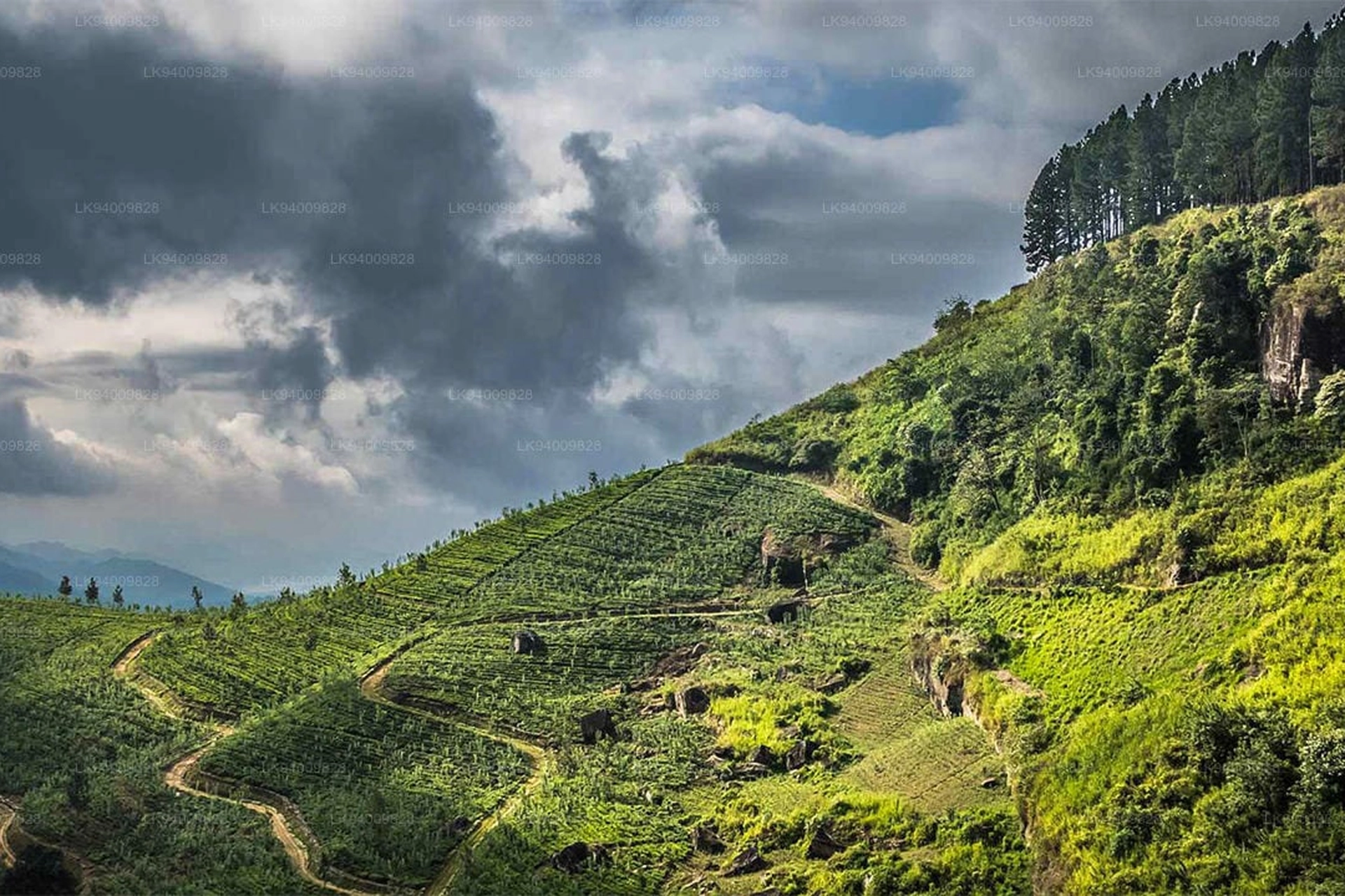 Knuckles Mountain Range - Forests, Hidden Waterfalls, and Rugged Hiking Ridges
